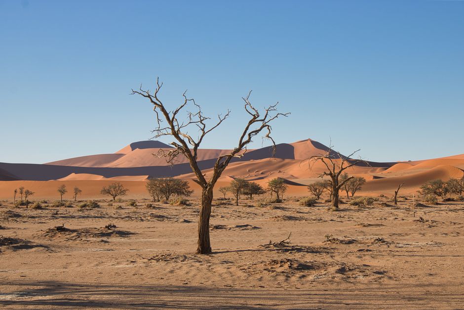 Citizenship by Naturalization Namibie — Nationalité namibienne 2026