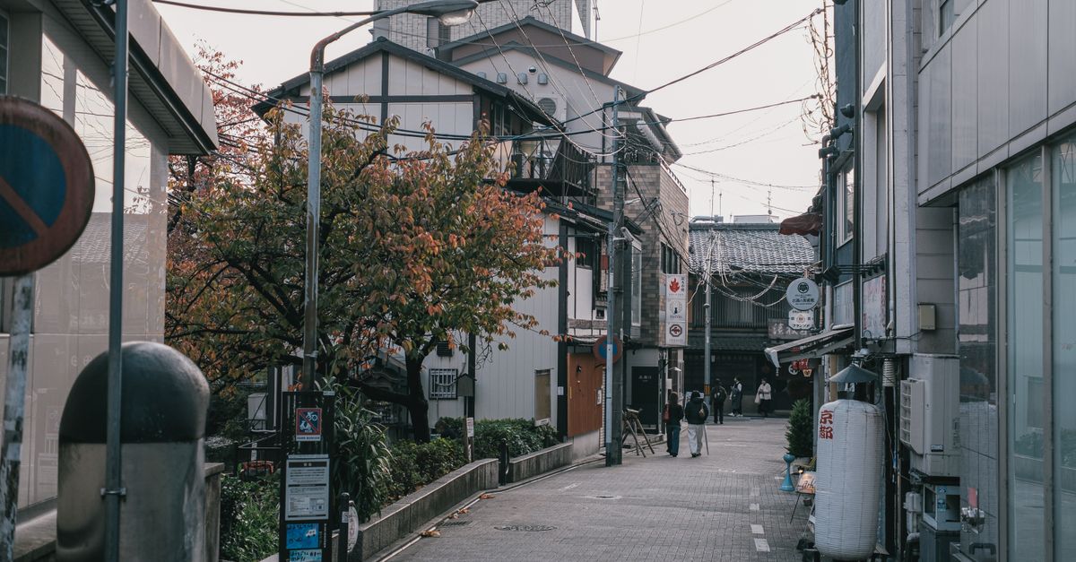 東北地區大學評價與升學考量:華人家庭應注意什麼? 東北地區大學評價與升學考量:華人家庭應注意什麼?