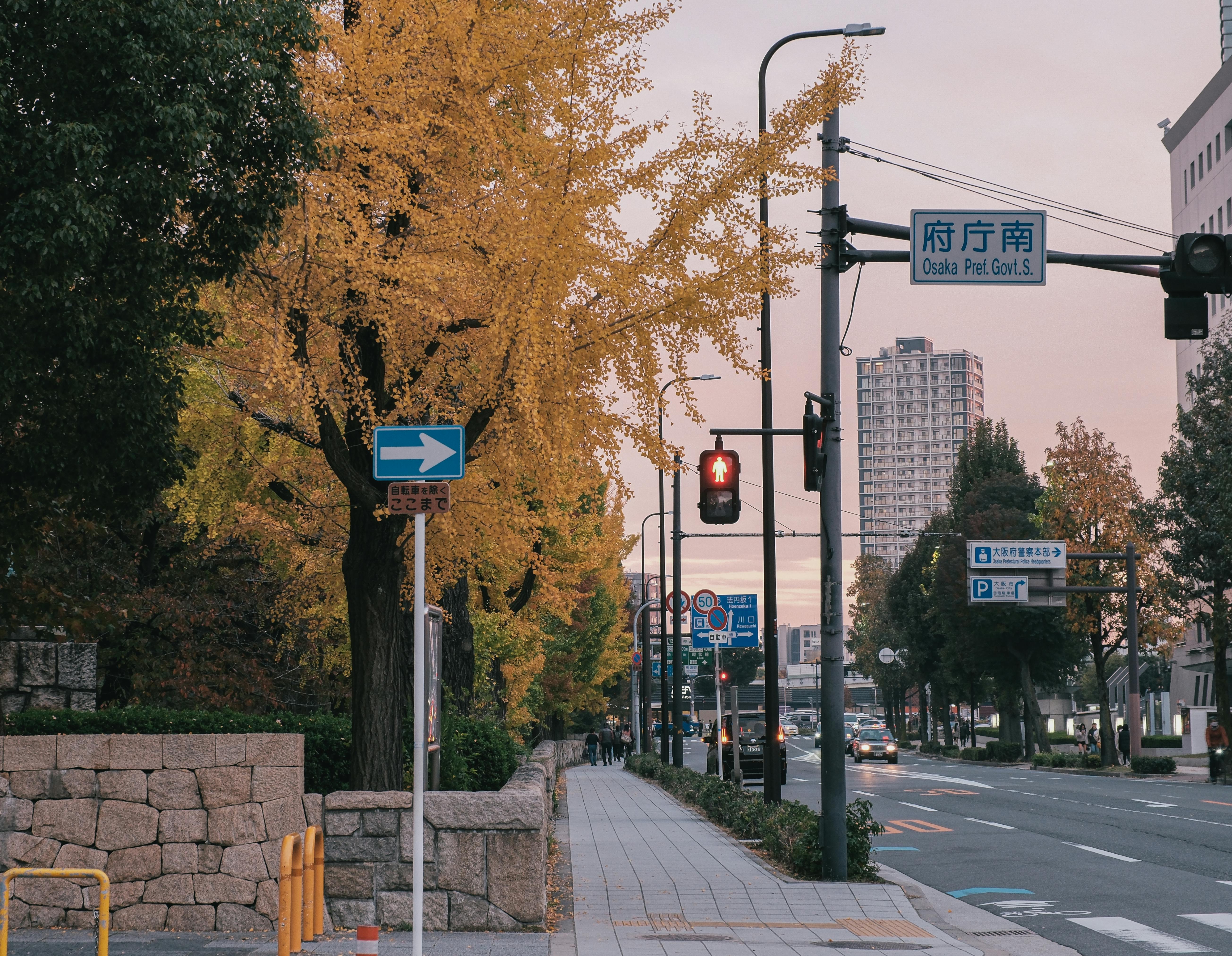 台灣最新政治動態：政府推動改革與兩岸關係發展
