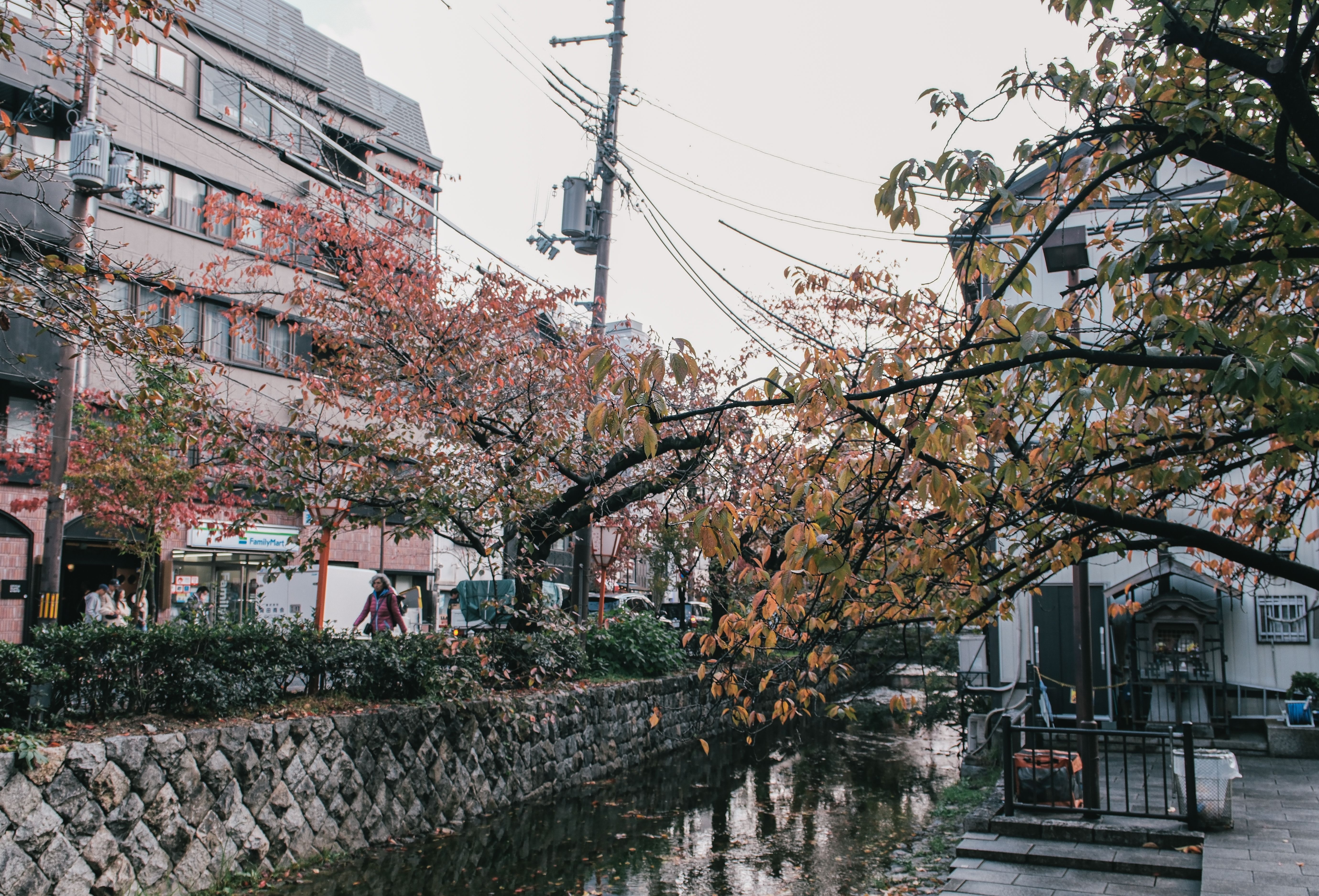 Charming Cityscape with Autumn Foliage · Free Stock Photo