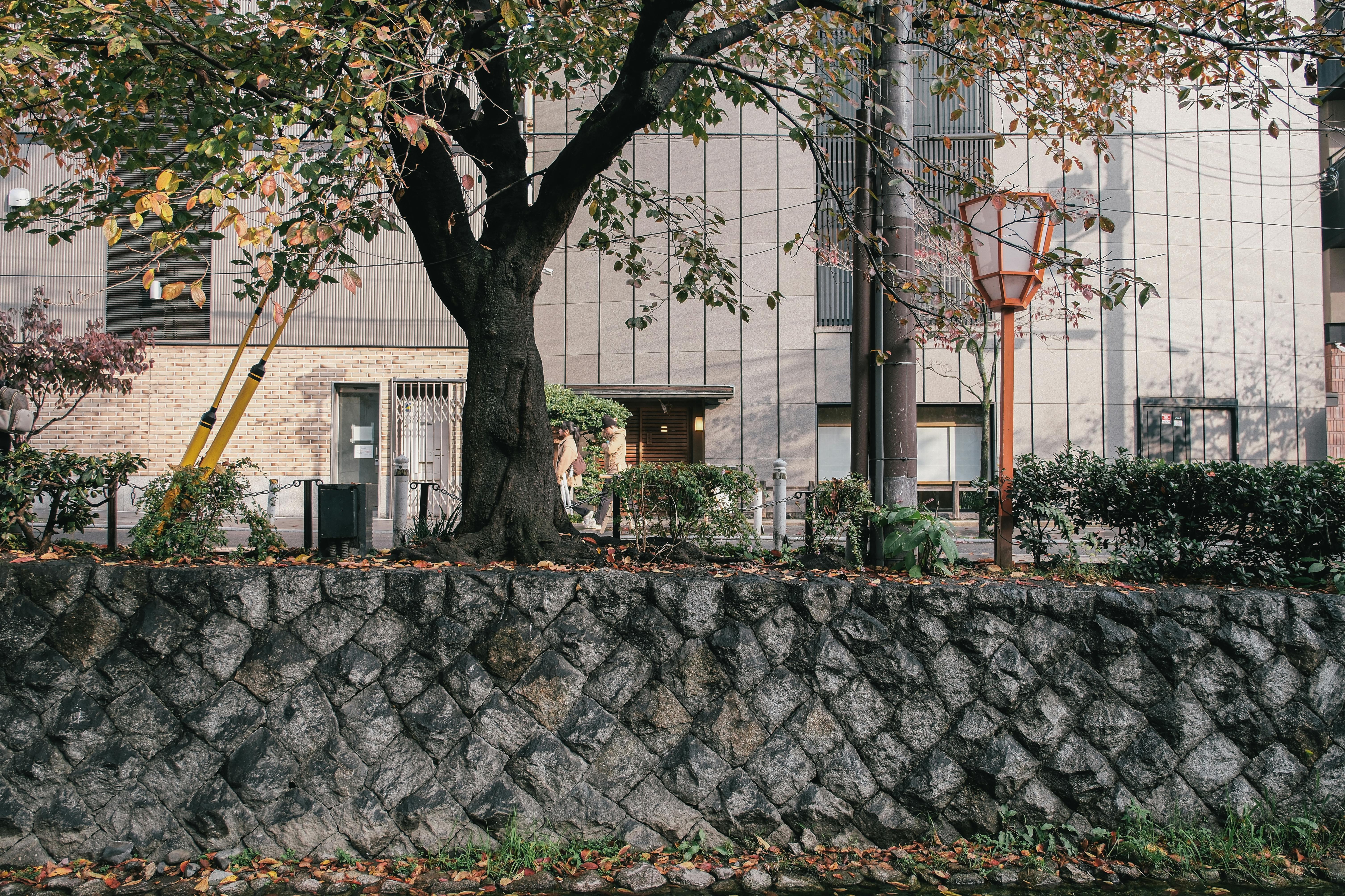 Gratis Pemandangan jalan kota yang menampilkan pohon dengan dedaunan musim gugur, dinding batu, dan latar belakang perkotaan. Foto Stok