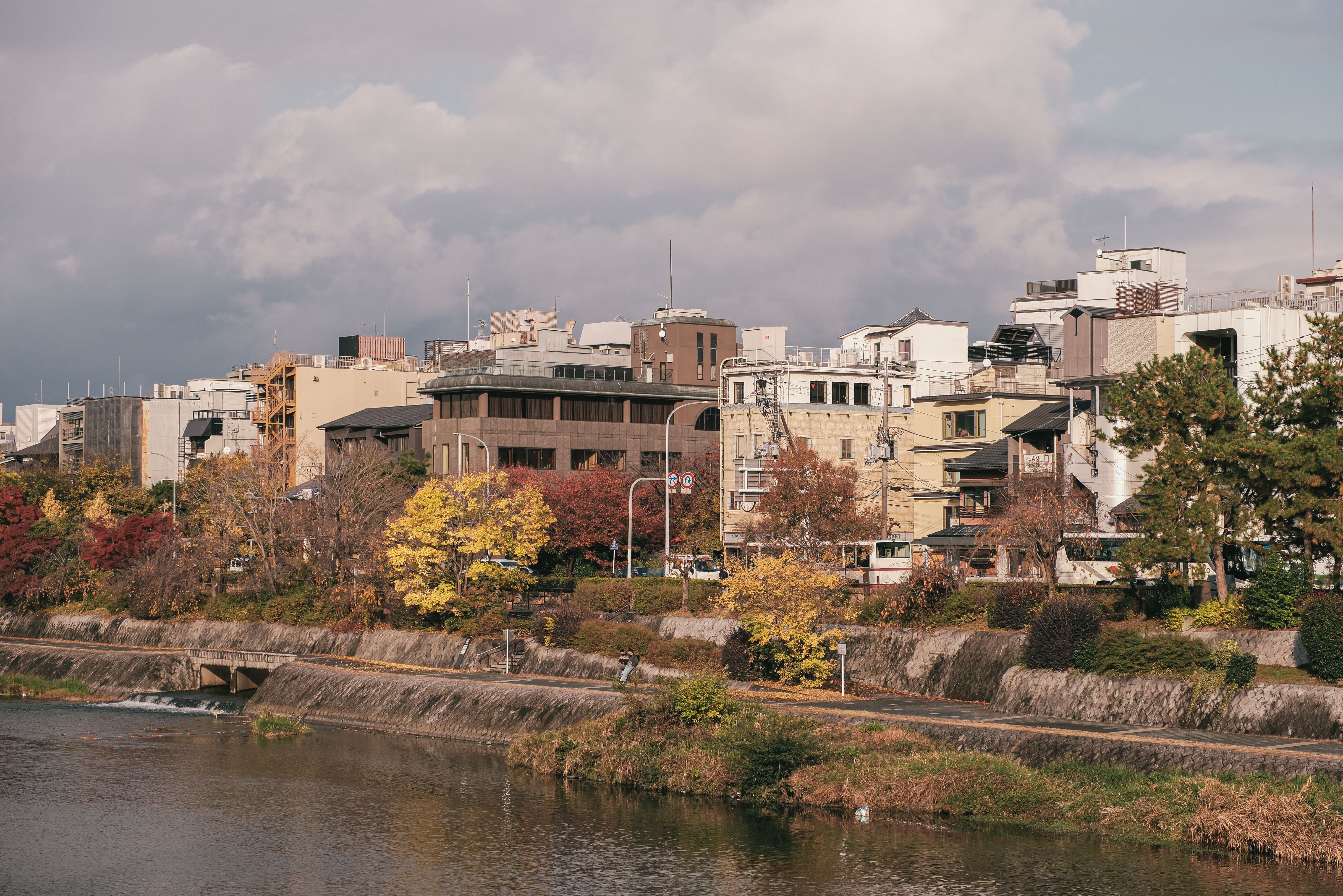 Charming cityscape with autumn trees lining a riverside street under a cloudy sky.