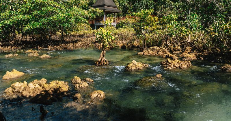 Excursion Khao Sok : Top 5 Circuits 2026
