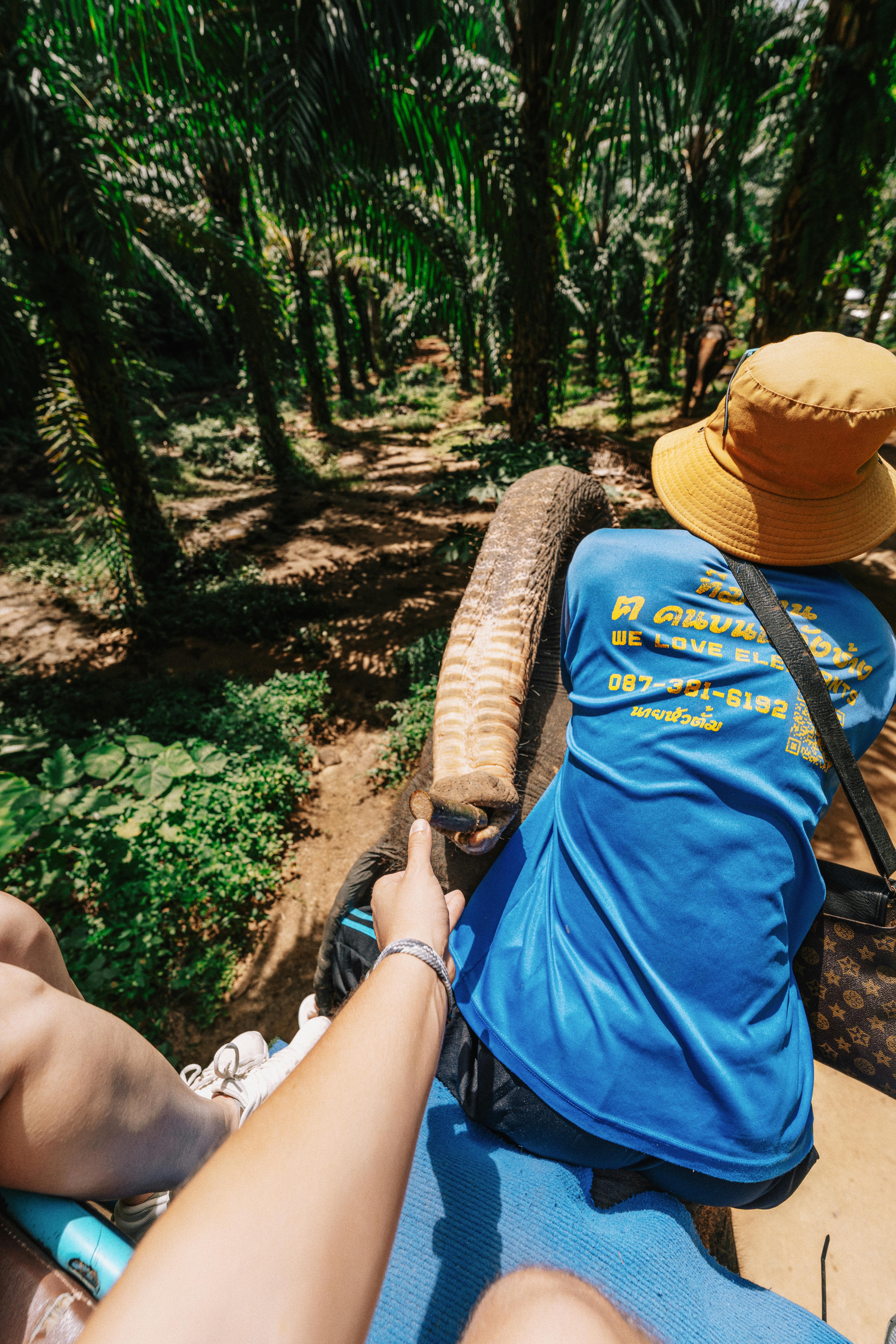 Experience a thrilling elephant ride through the lush jungles of Krabi, Thailand.