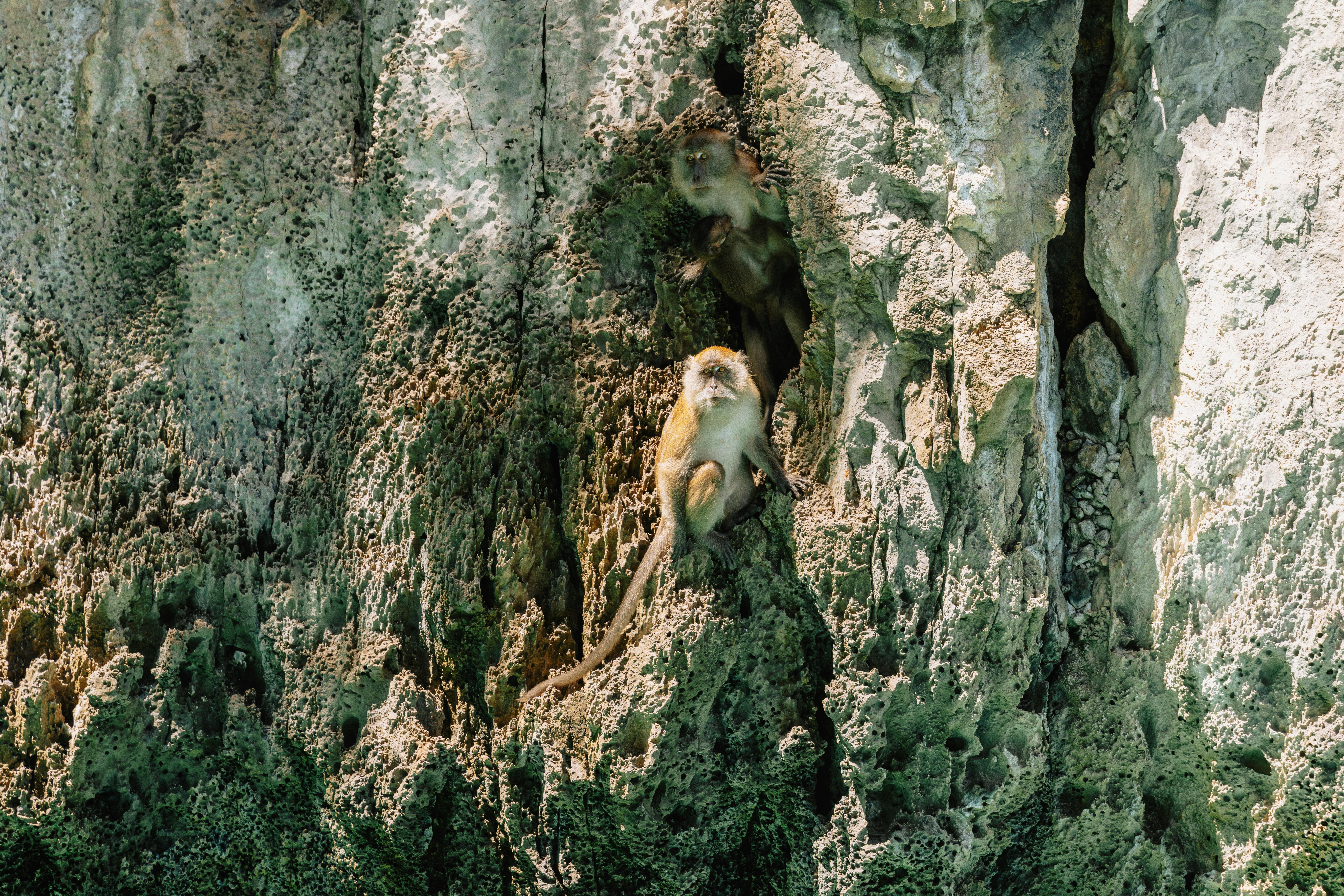 Adrenaline-Inducing Journeys: Conquering Extreme Peaks with the Right Climbing Gear