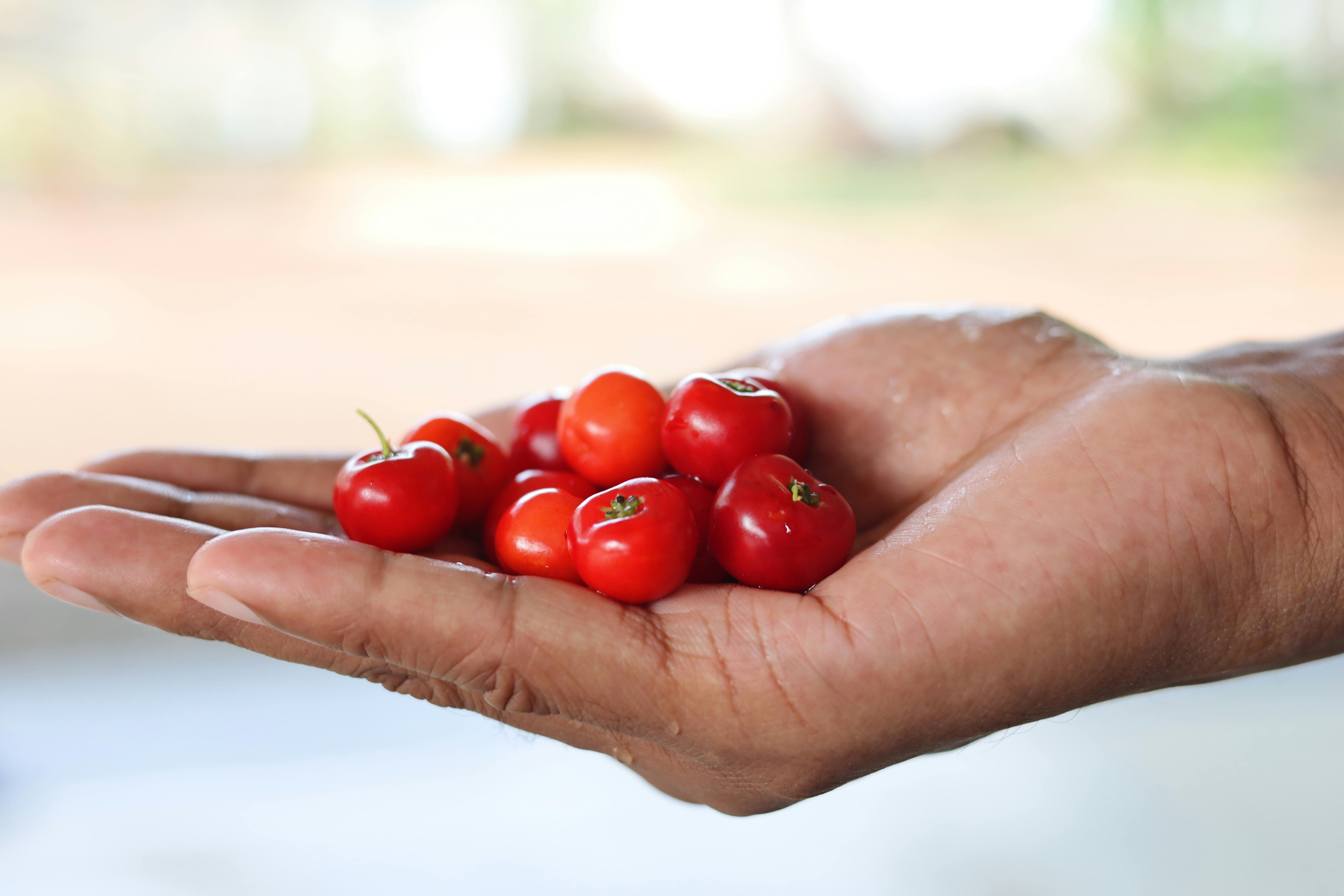 Landmarks in Barbados