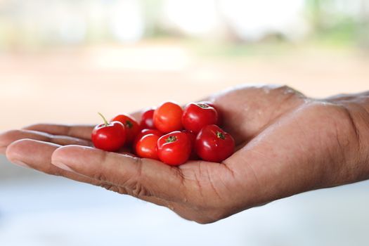 Stretch Island Fruit Cherry .5oz