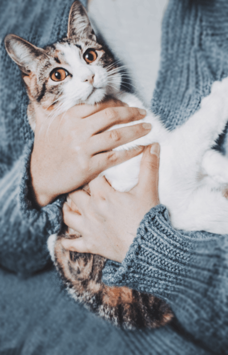 Woman Holding Cat