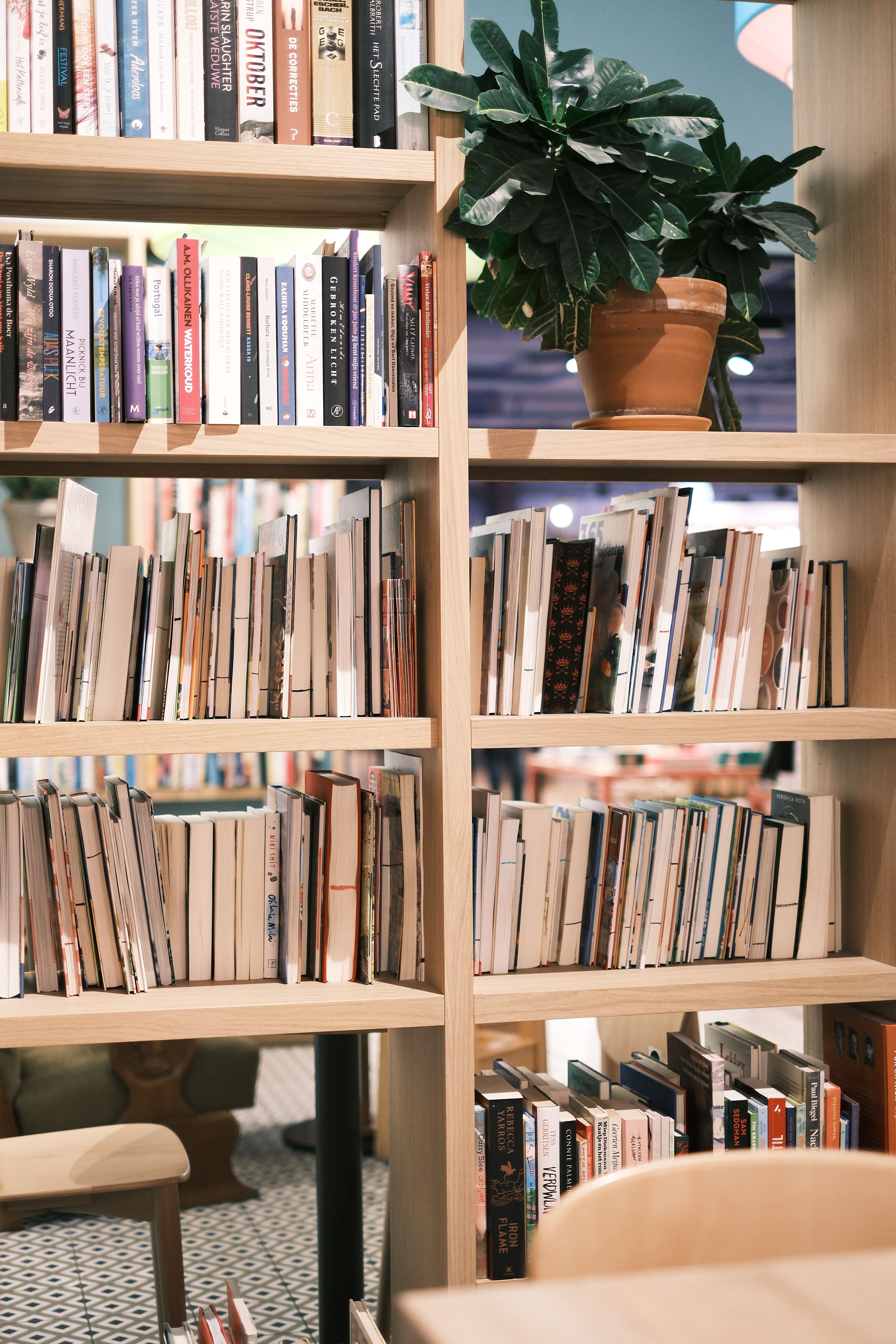 Cozy Library Interior with Bookshelves and Plants · Free Stock Photo