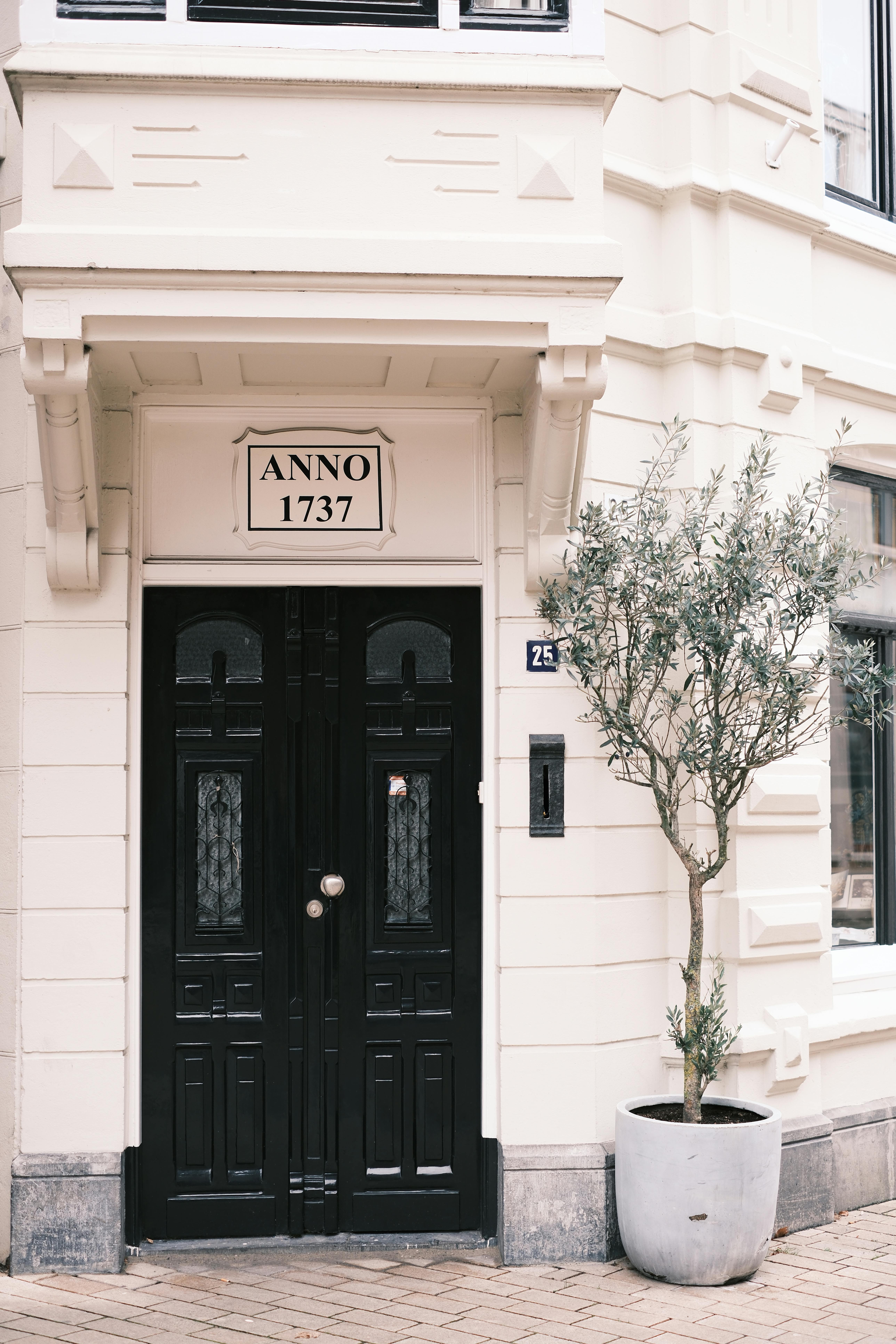A beautifully preserved 18th-century doorway with a potted olive tree, showcasing classic European architecture.