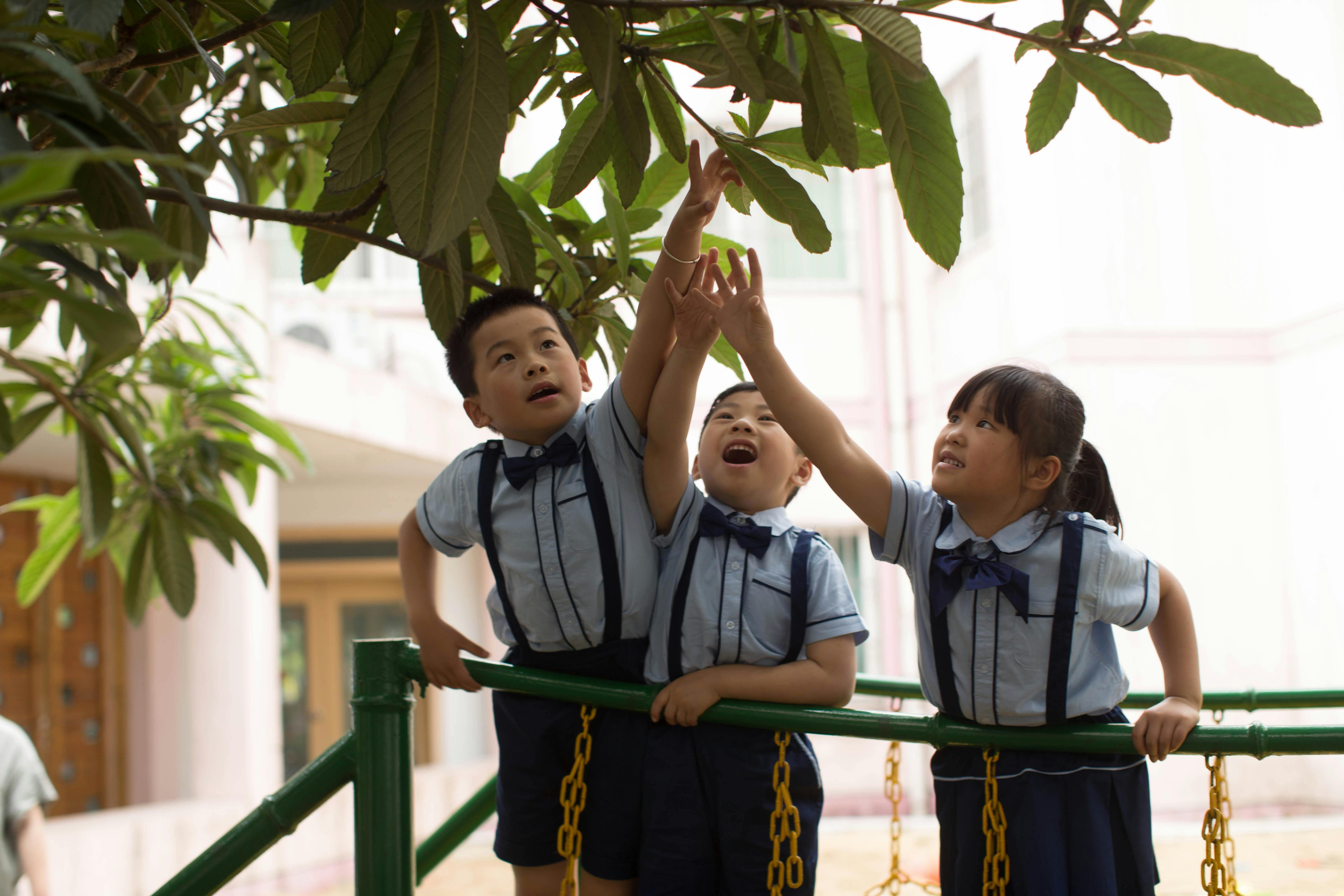 Three children in school uniforms reach for tree leaves on a sunny day, showcasing curiosity.