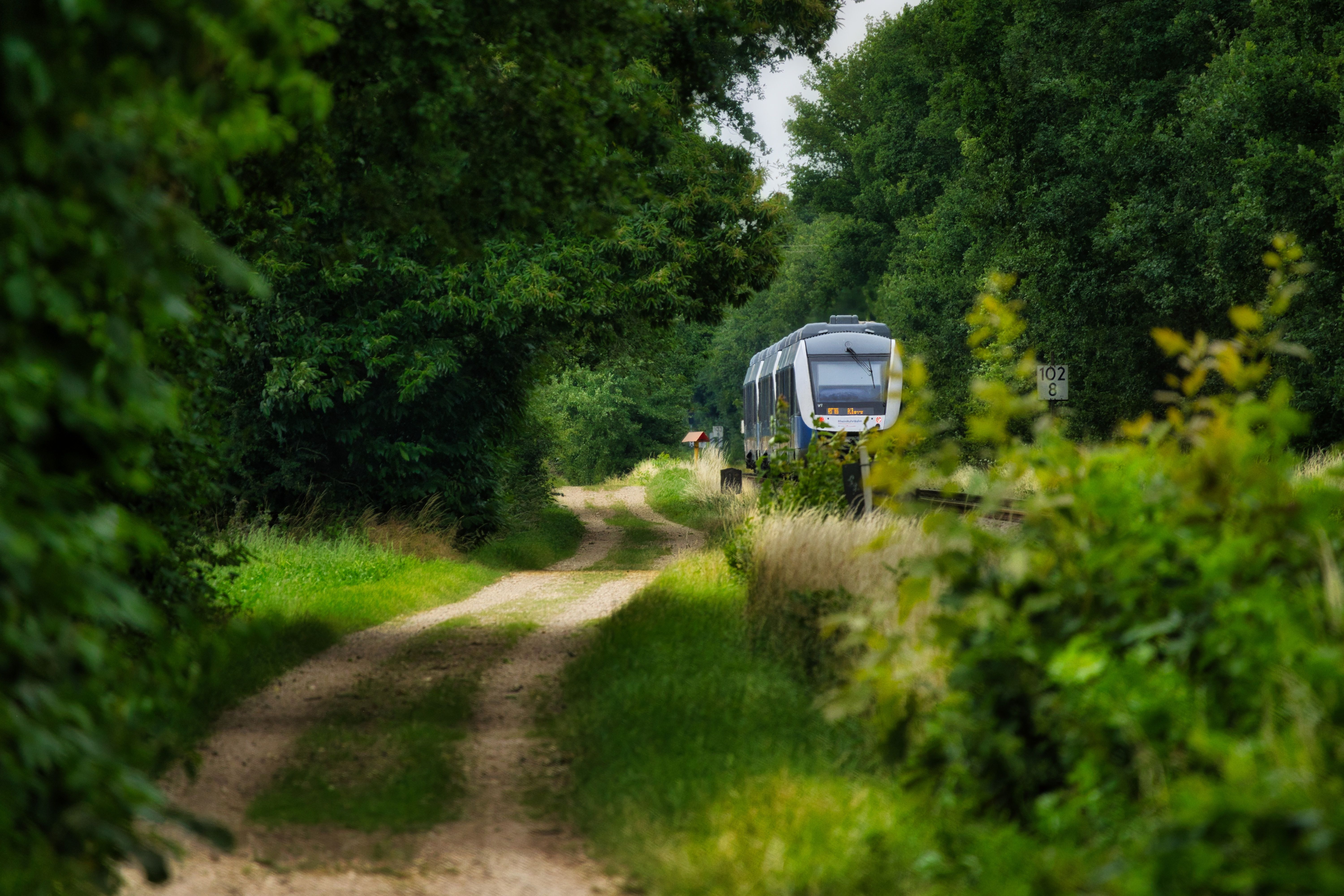 Wander with Purpose: 2026's Ultimate Guide to Regenerative Travel for Planet & Profit (Your Impact-Driven Journey Starts Here!)