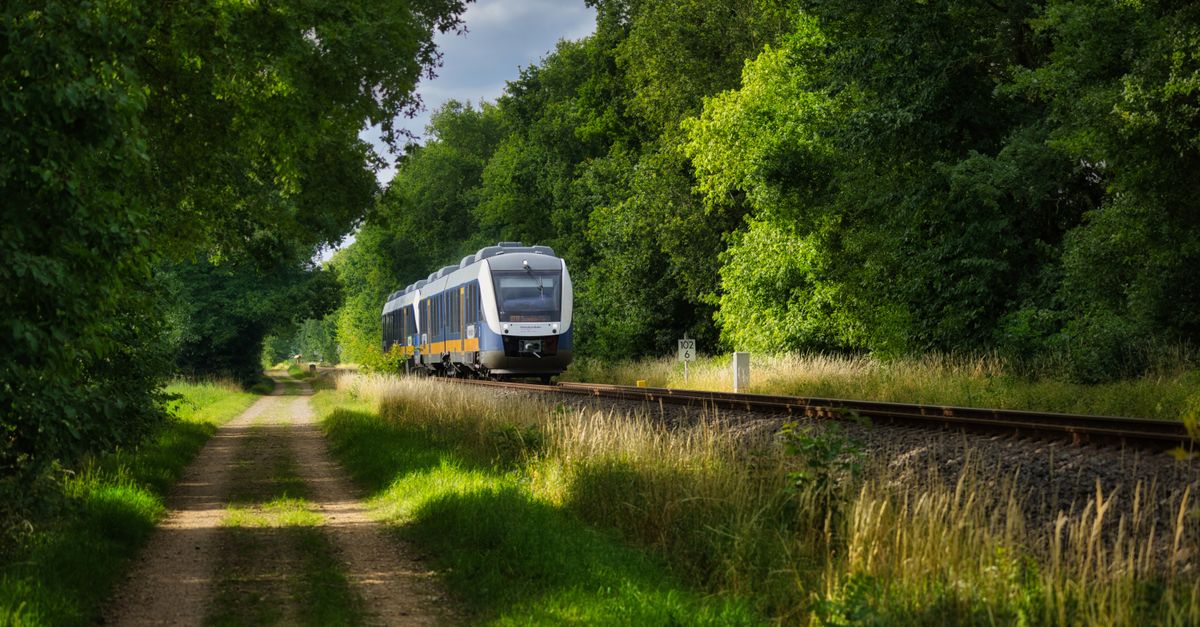Guida Completa ai Viaggi Sostenibili: Scelte Consapevoli