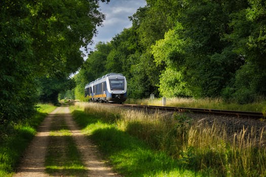 A sleek passenger train travels through a vibrant forest landscape on a sunny day.