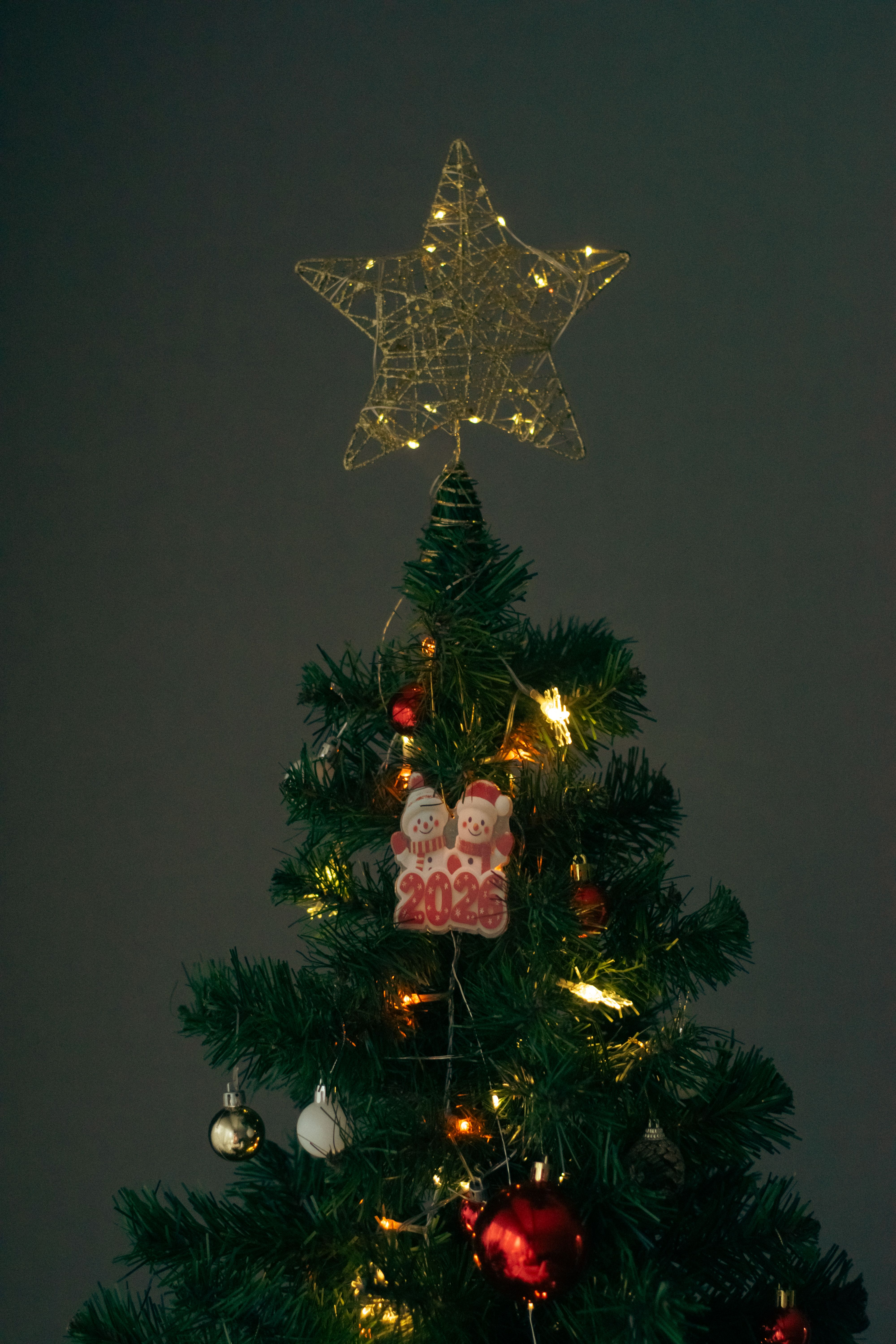 Festive Christmas Tree with Star Topper · Free Stock Photo