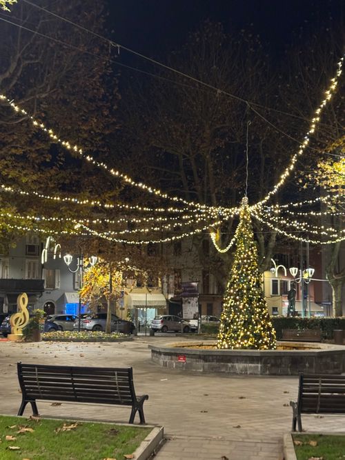 Free Festive Christmas lights adorn a tree in a charming Italian square at night. Stock Photo