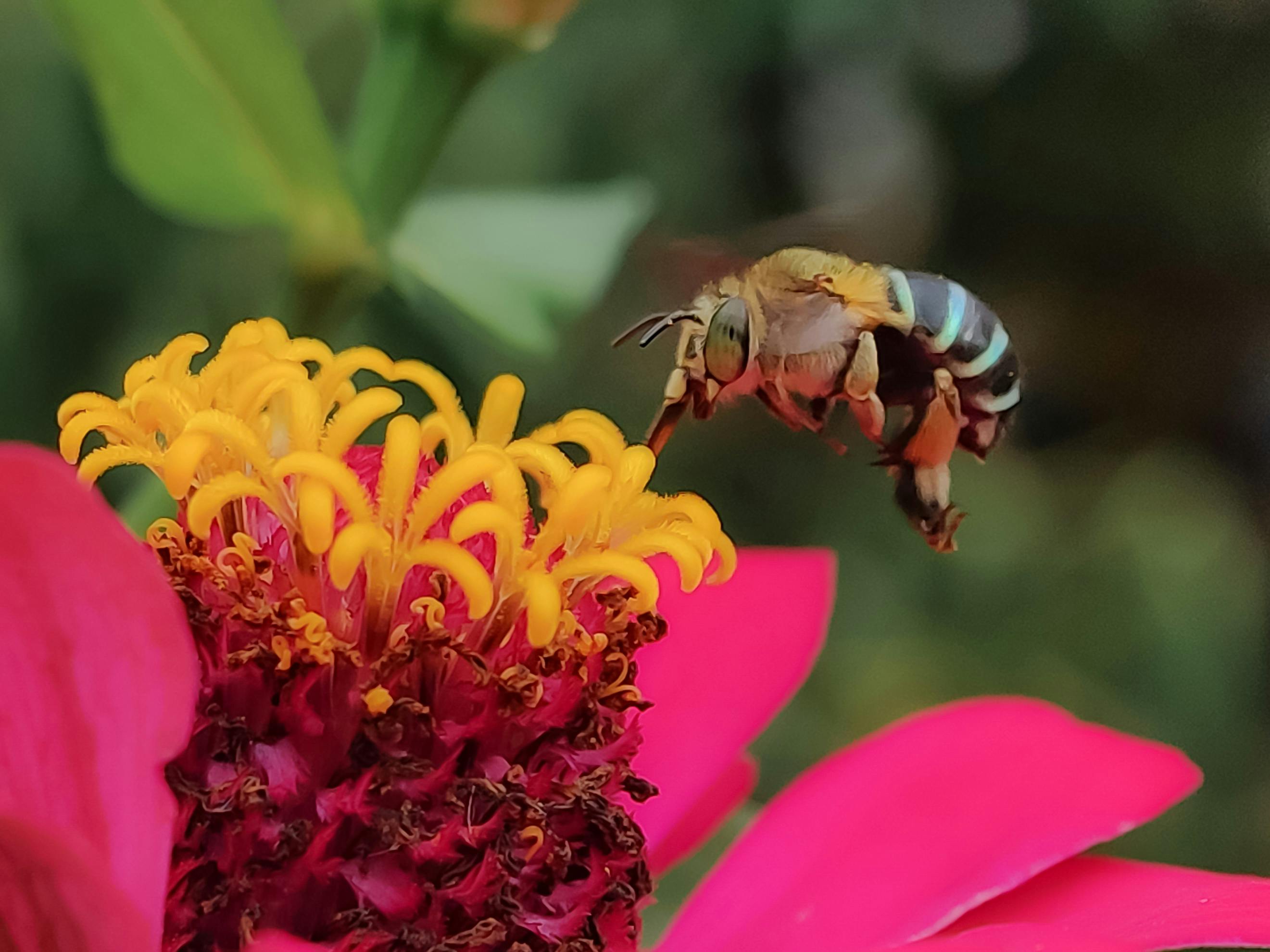生活：東京國際花道博覽會盛大開幕 黃偉哲推廣台南花果魅力