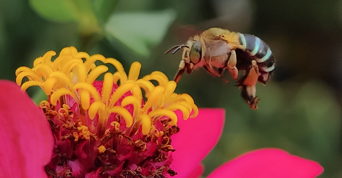 生活:東京國際花道博覽會盛大開幕 黃偉哲推廣台南花果魅力
