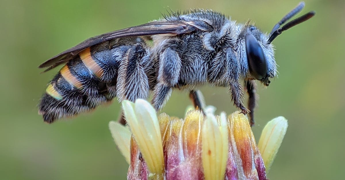 生活:東京國際花道博覽會盛大開幕 黃偉哲推廣台南花果魅力