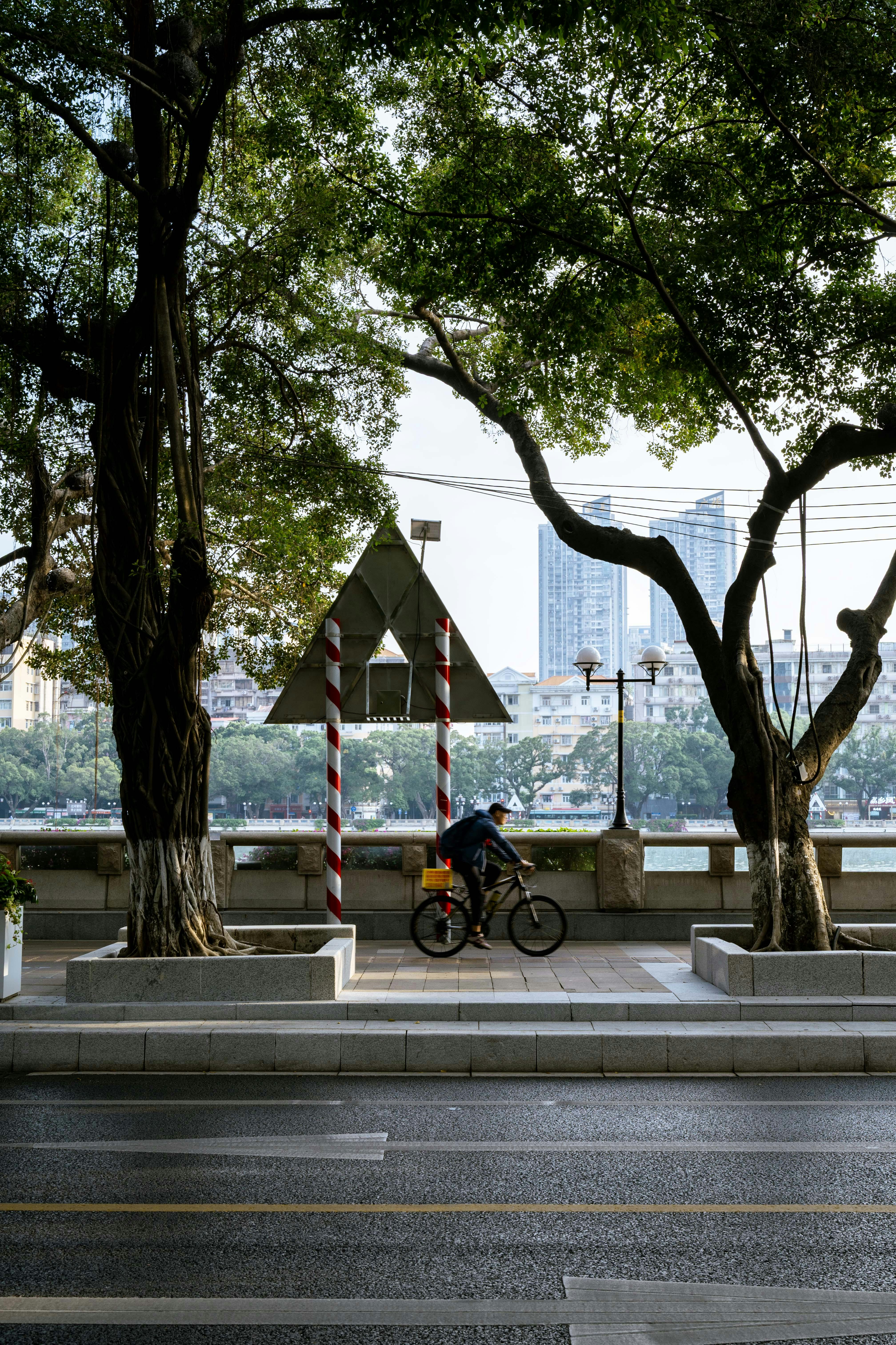 Cheesecakes for Health Buffs