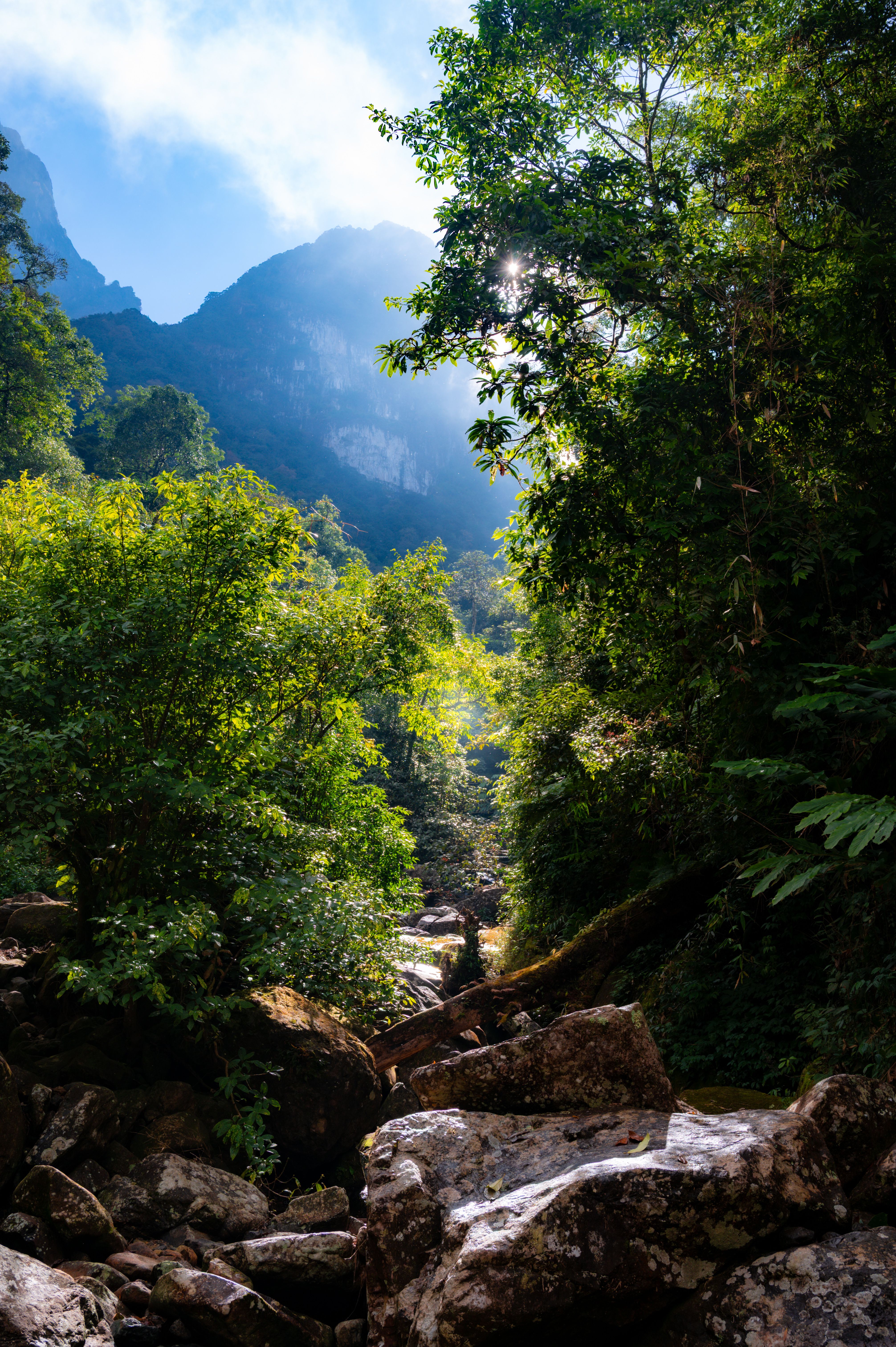 Lush Mountain Landscape with Rocks and Forest · Free Stock Photo