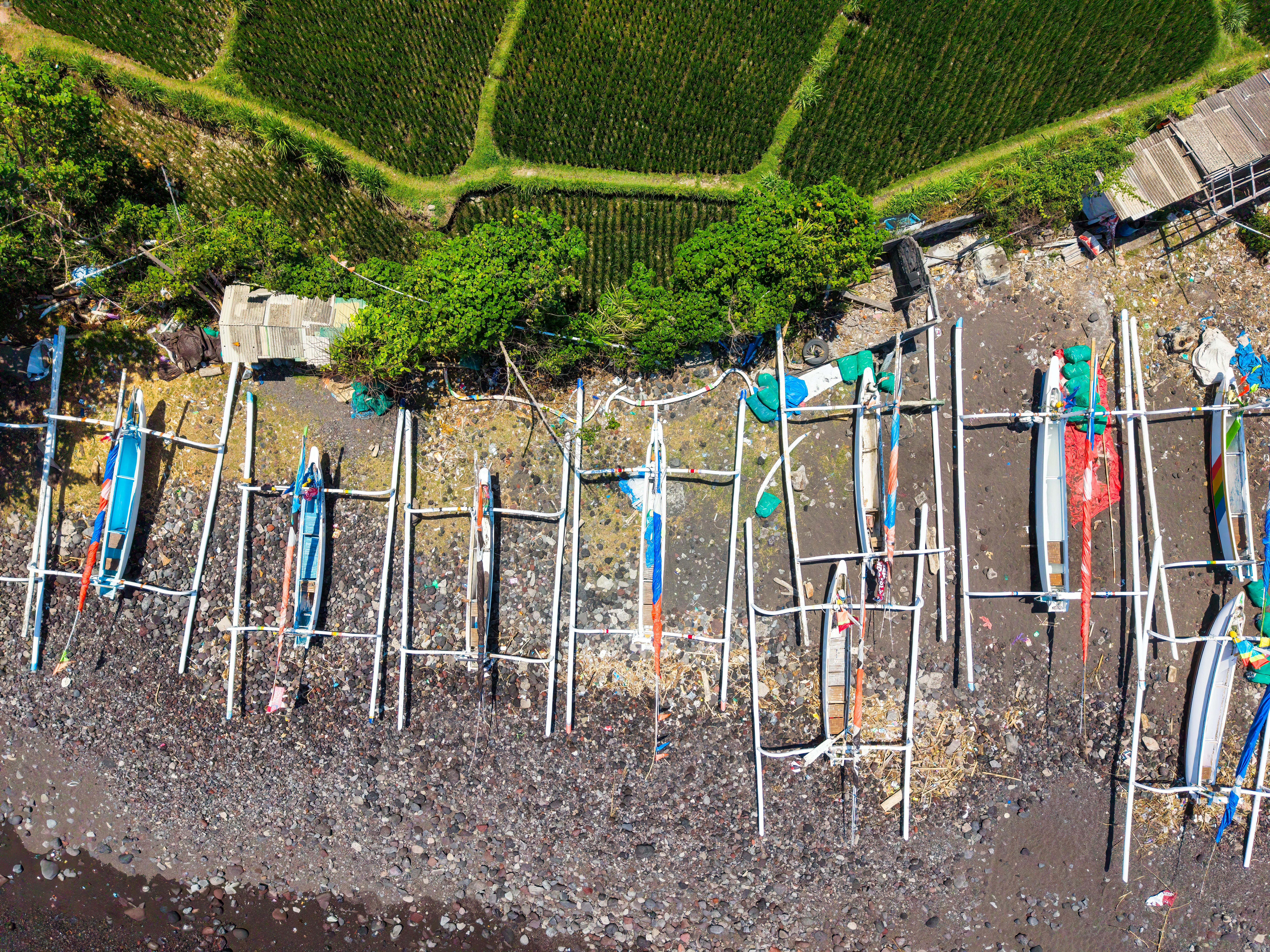 財經：加拿大央行維持利率不變 強調經濟整體具韌性