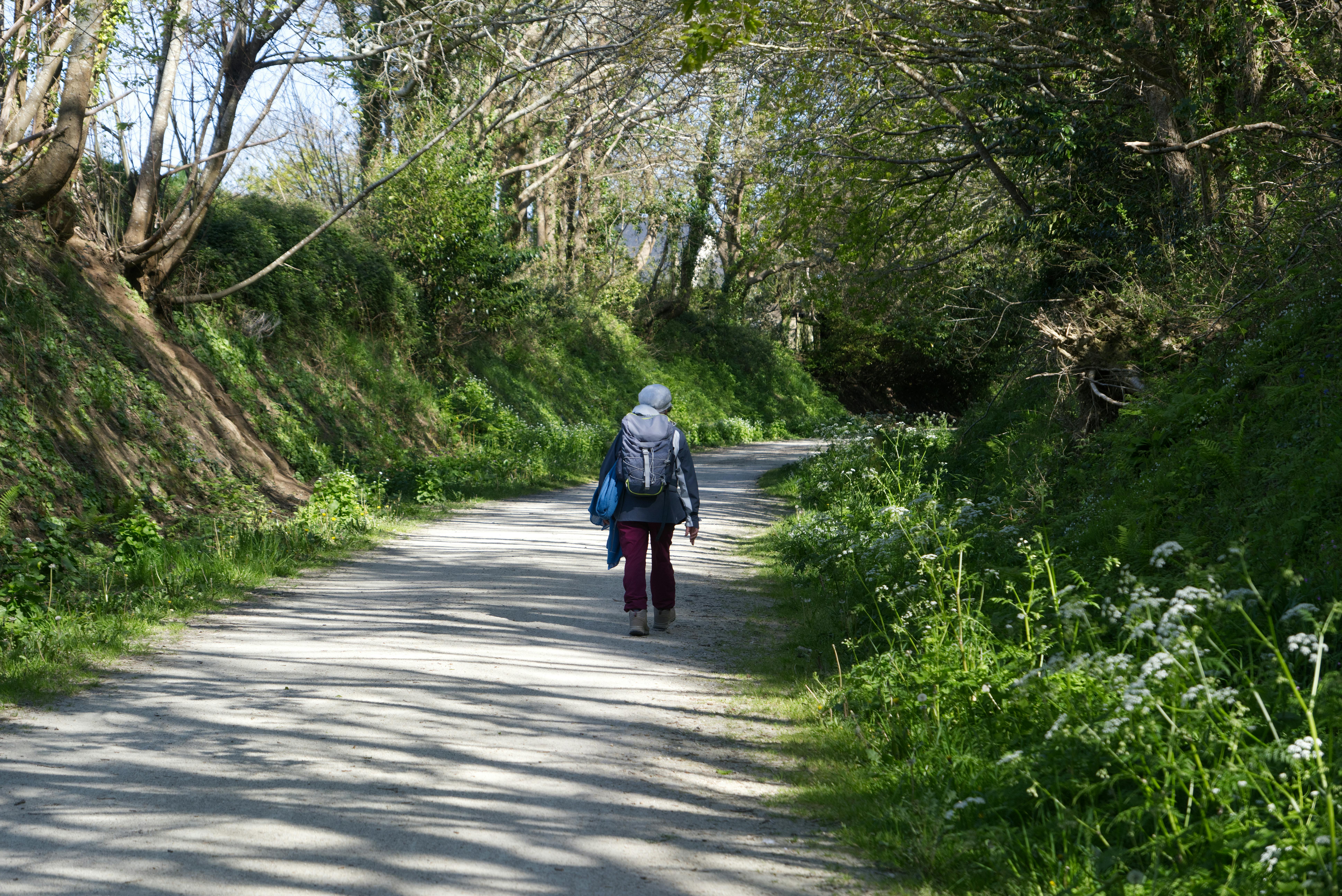 A woman walks down a sunlit forest path, surrounded by lush greenery.