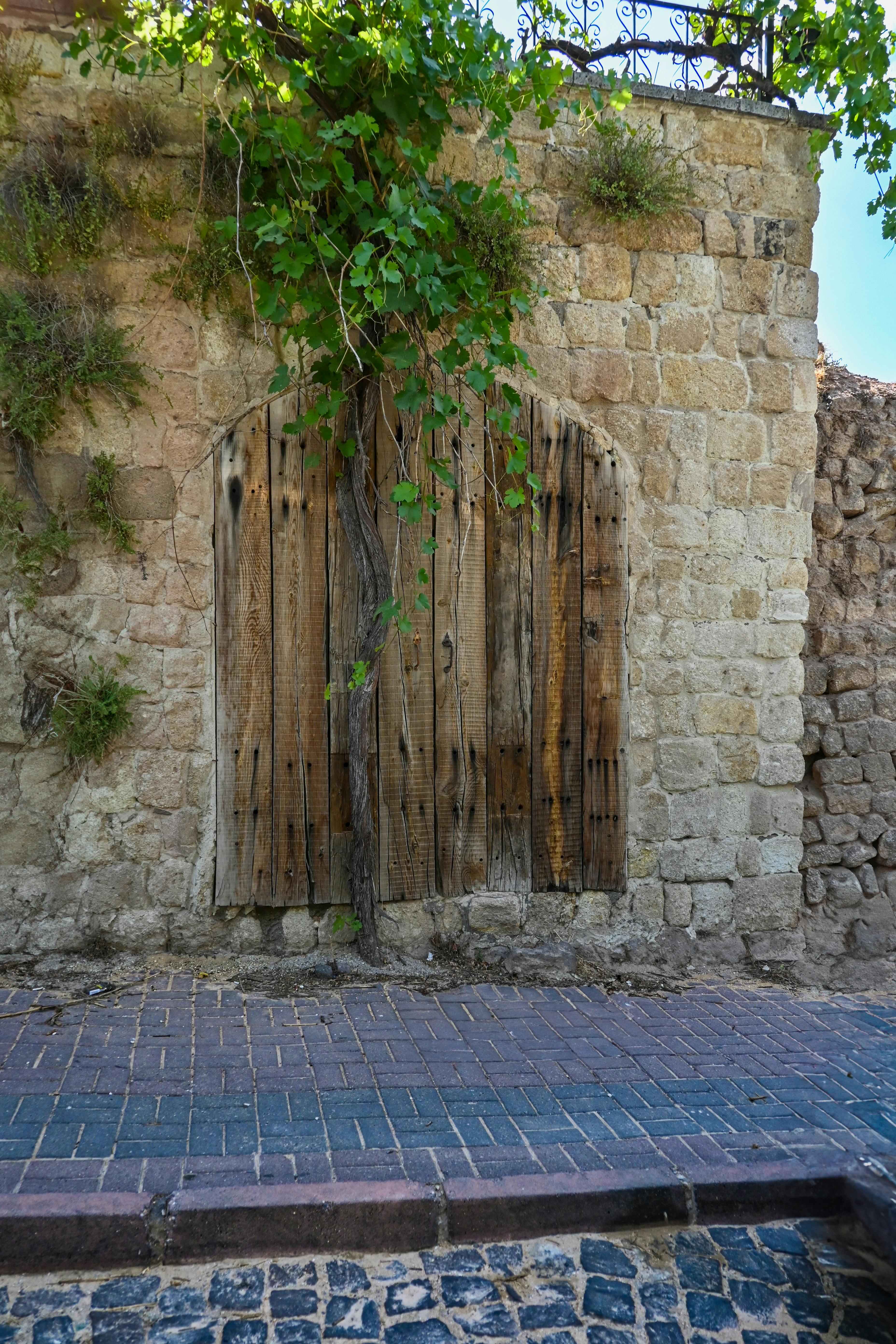 Bakırköy Kiralık Dairelerde Site İçi Sosyal İmkanlar: Yüzde 30'a Varan Kira Artışları Hakkında Bilmeniz Gerekenler