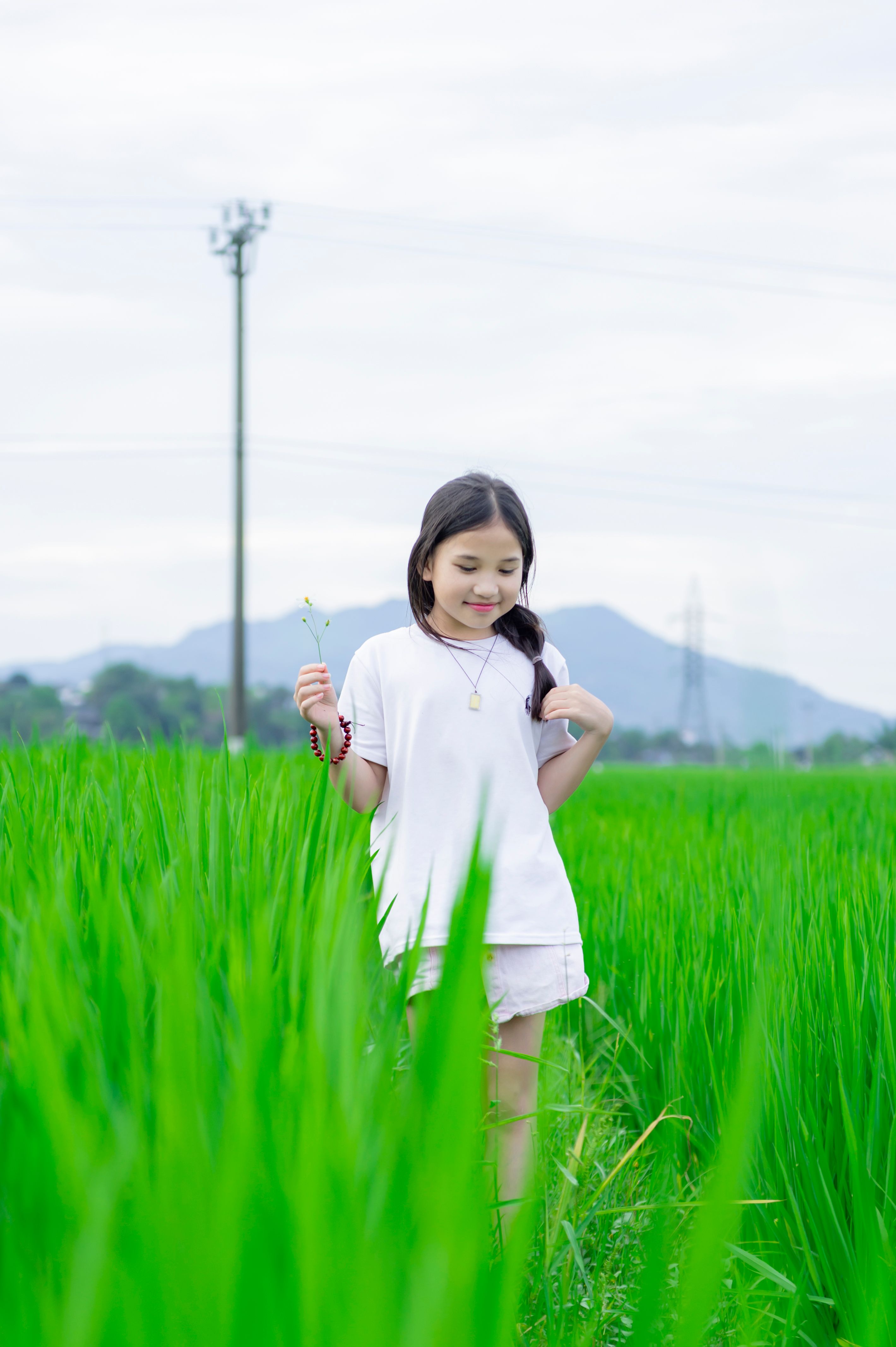 Young Girl in Lush Green Vietnamese Field · Free Stock Photo