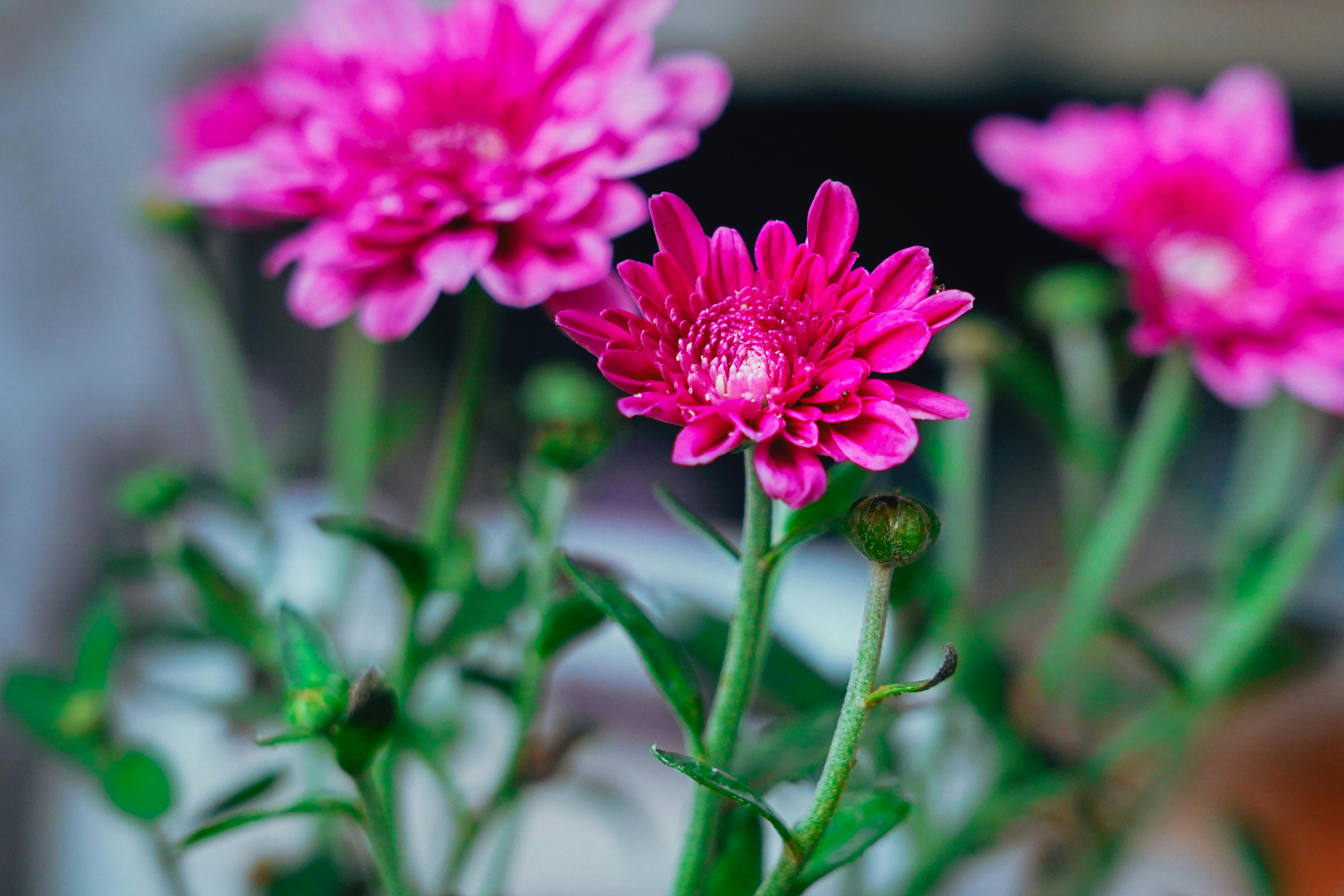 靜宜大學攜手澄逸香氛學院 推出國際調香師培訓課程