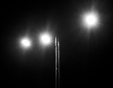 A streetlight shines through the rain against a dark night sky, creating a moody black and white scene.