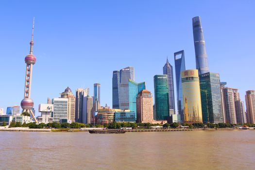 Shanghai Museum with a curator — Shanghai