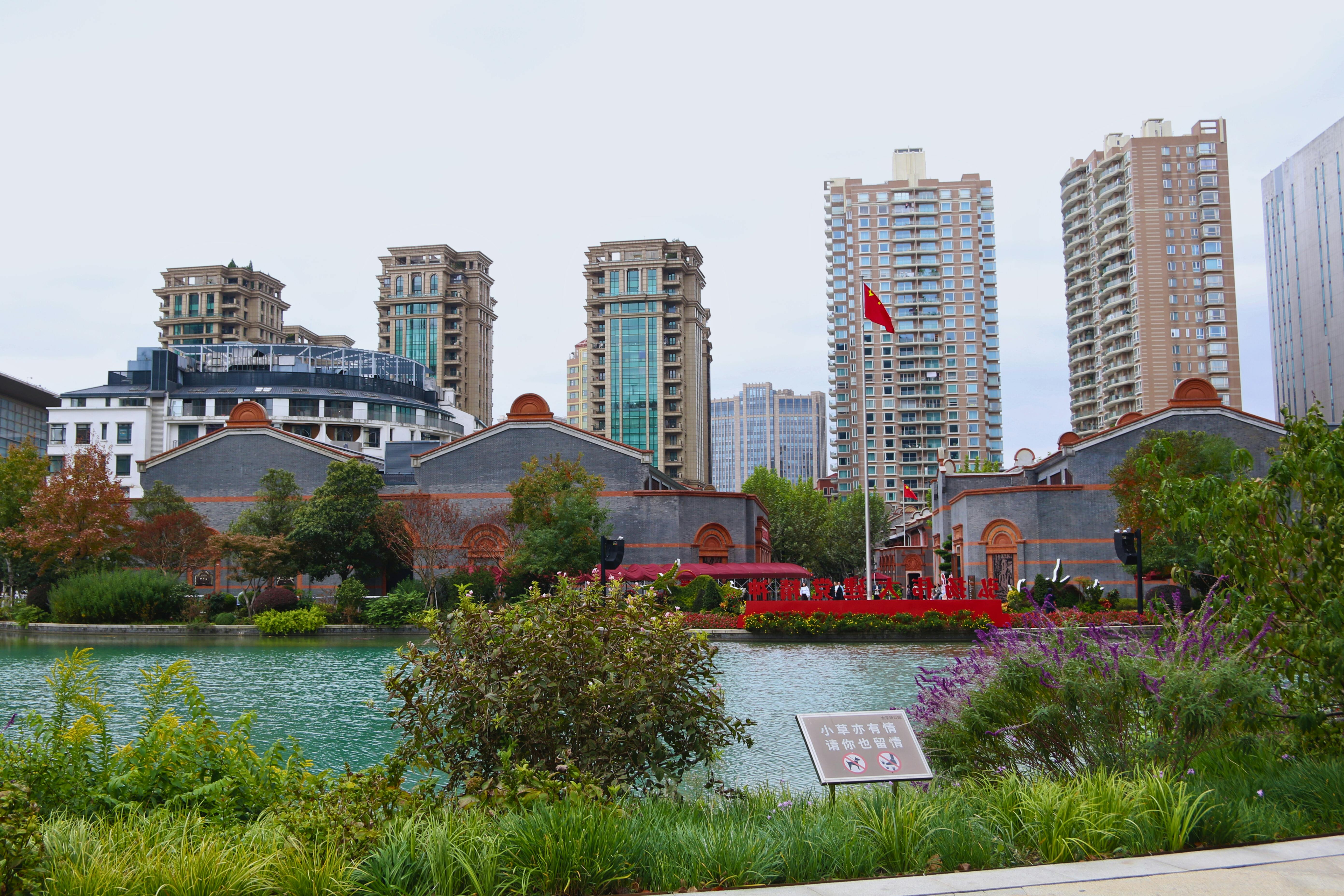 China ‘Madman of Science’ says budget space travel viable after low-cost launch — Photo by Bruna Santos on Pexels