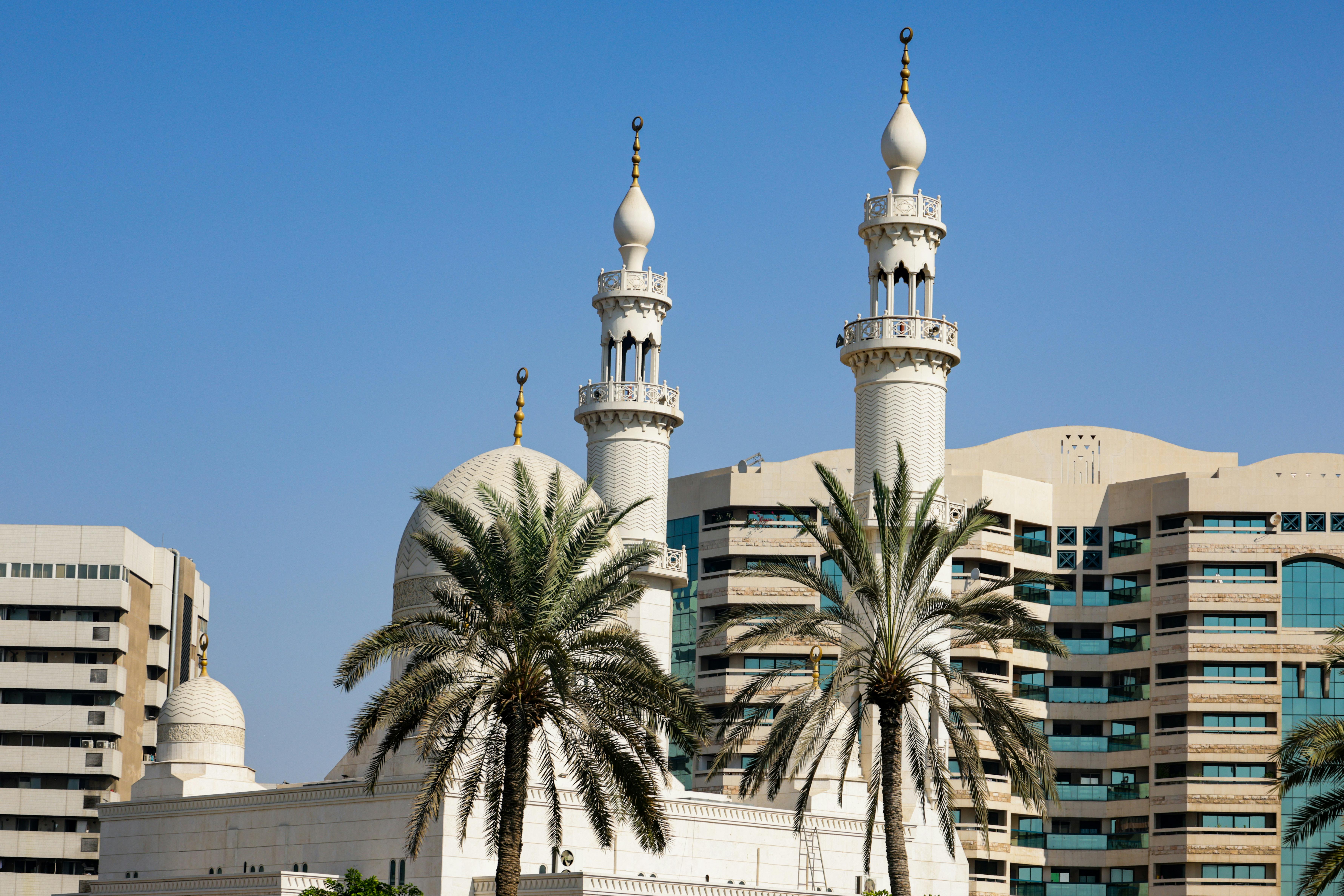 Understanding Influencer Tribes: Connecting with Niche Communities