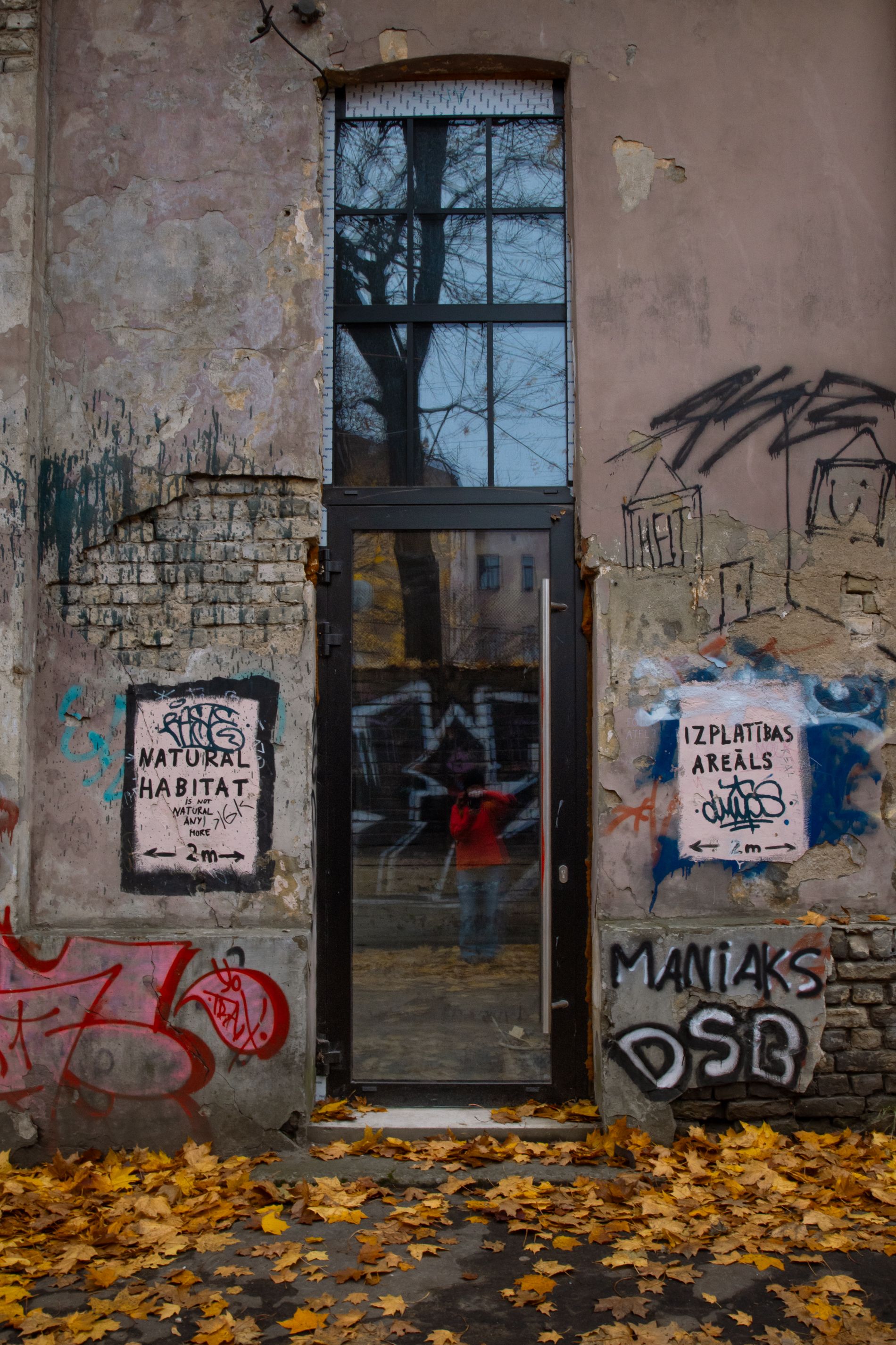 Urban Graffiti and Reflection in Rīga, Latvia · Free Stock Photo