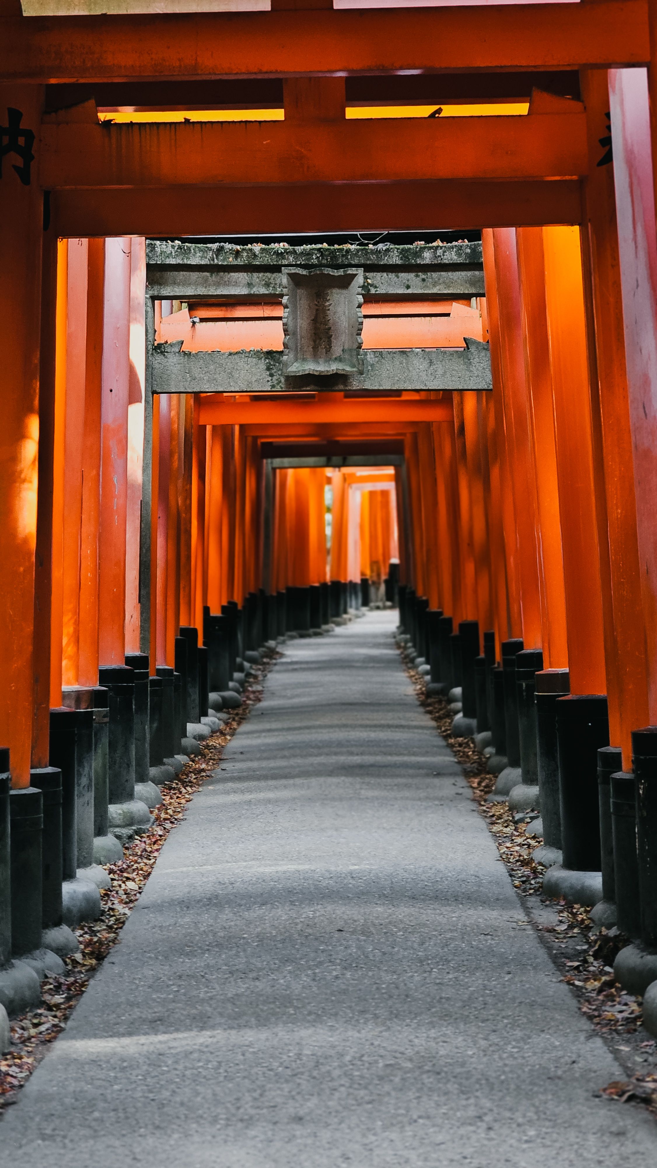 Fushimi Inari Shrine Torii Gates in Kyoto · Free Stock Photo