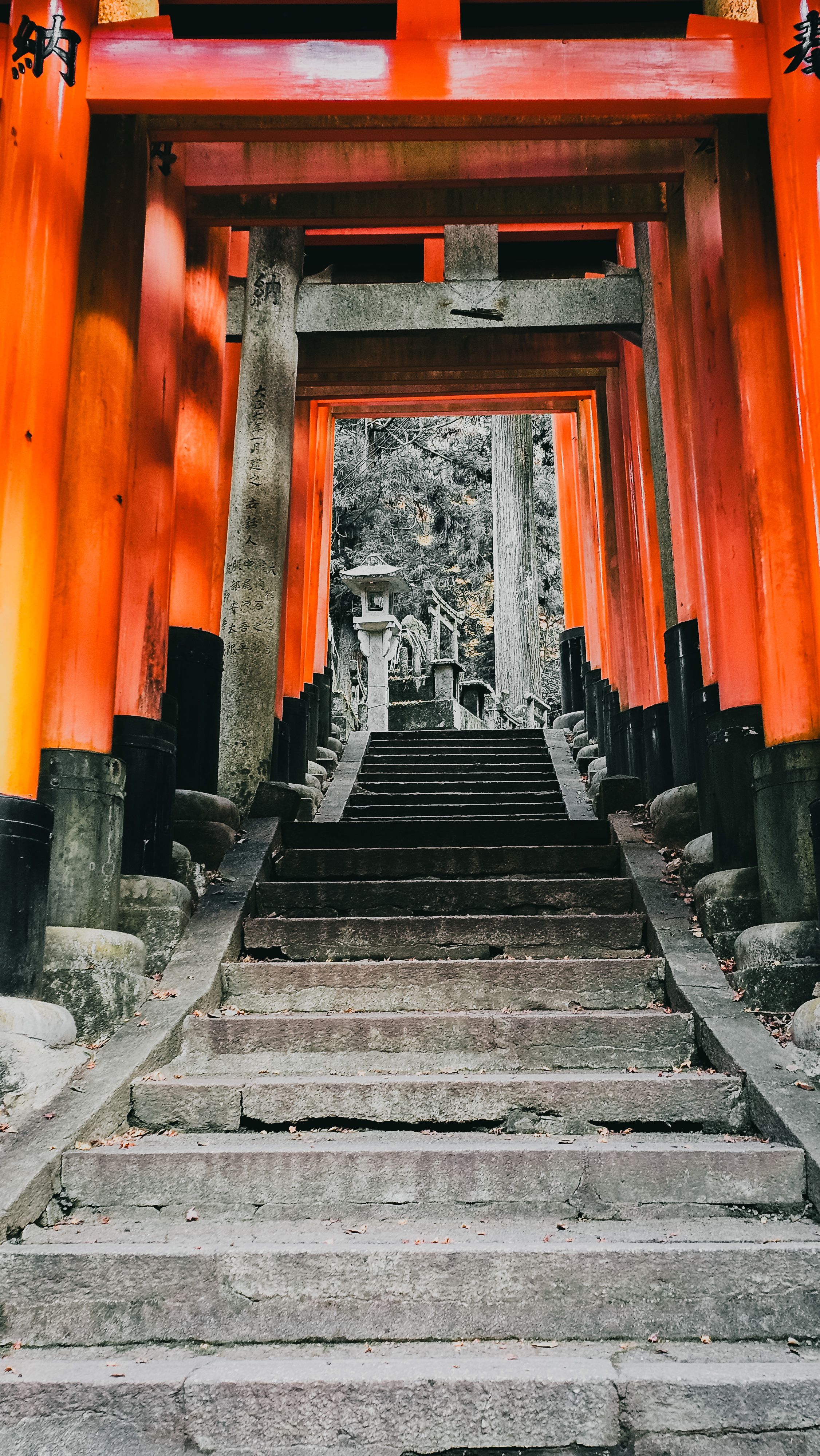 Fushimi Inari Shrine Torii Gates Pathway · Free Stock Photo