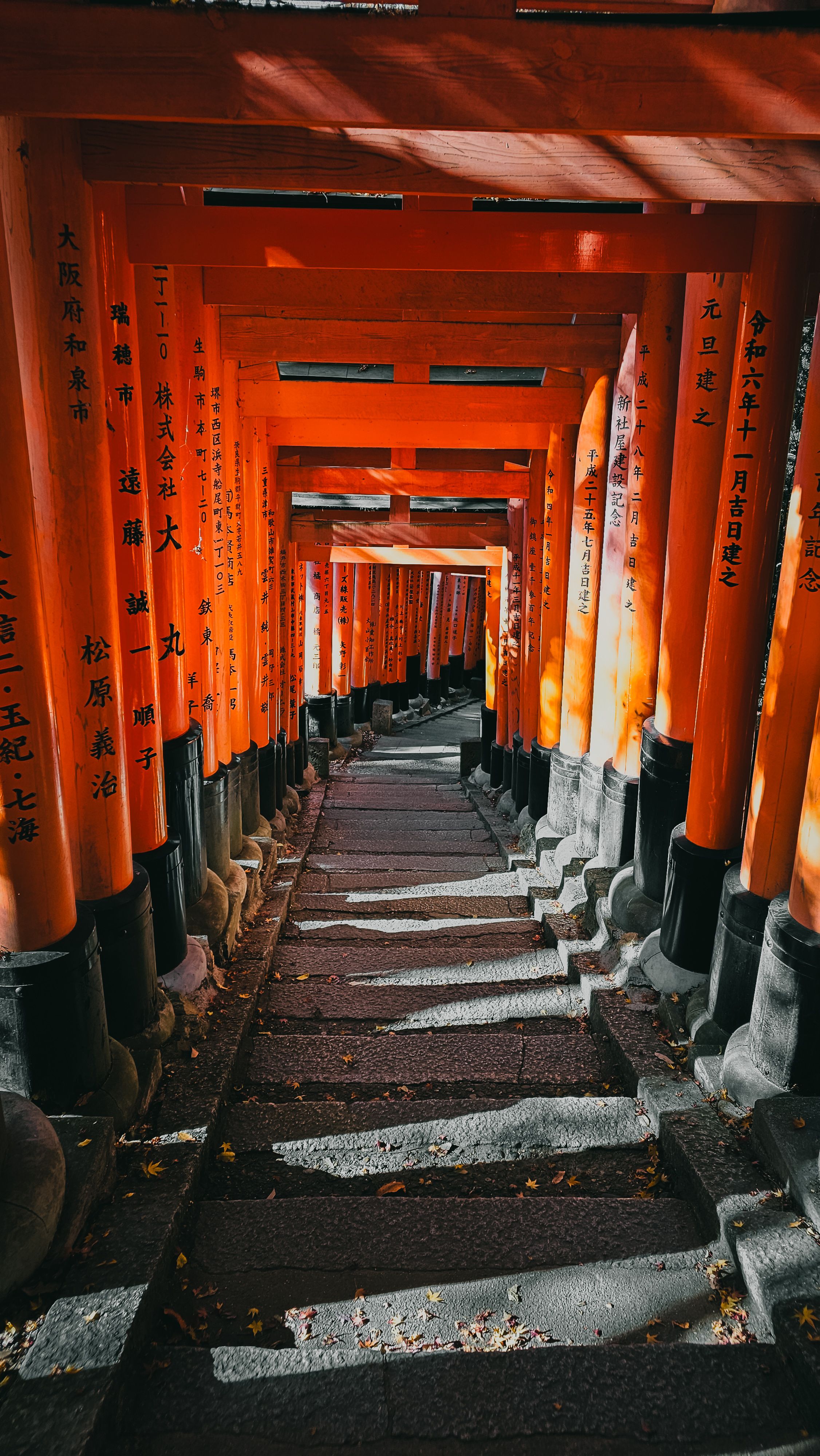 Fushimi Inari Taisha Torii Gates in Kyoto · Free Stock Photo
