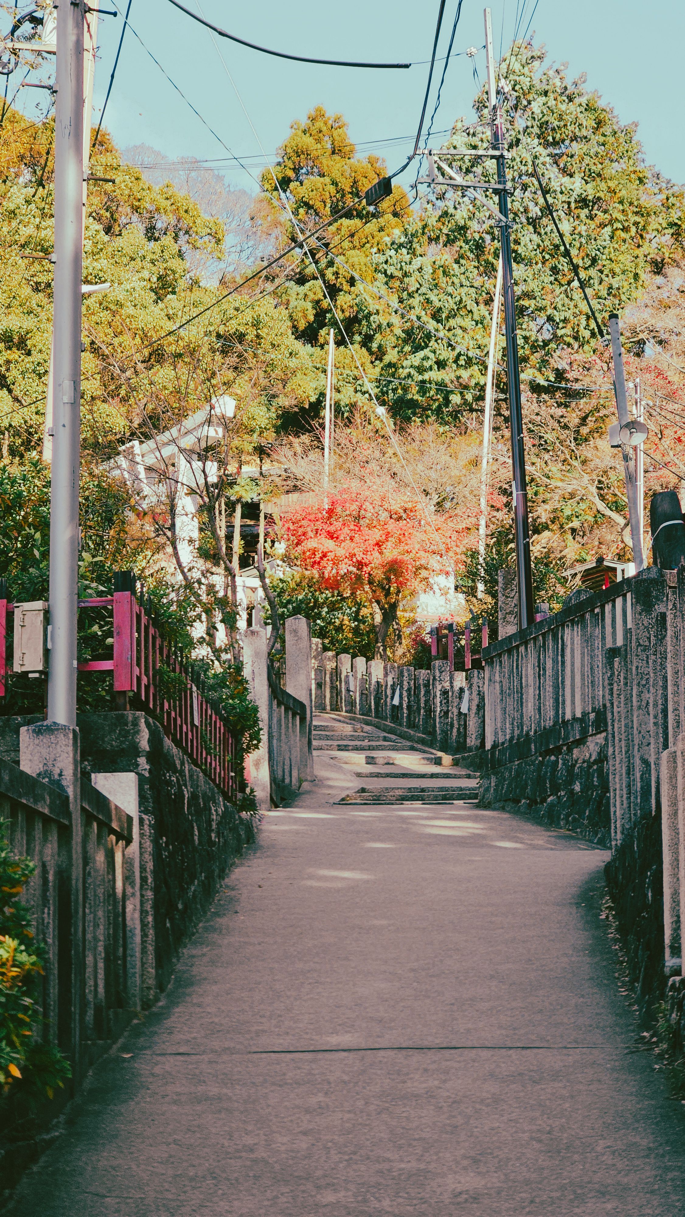Picturesque Street in Autumn with Vibrant Foliage · Free Stock Photo