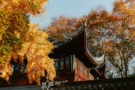 Autumn Foliage at Traditional Chinese Temple