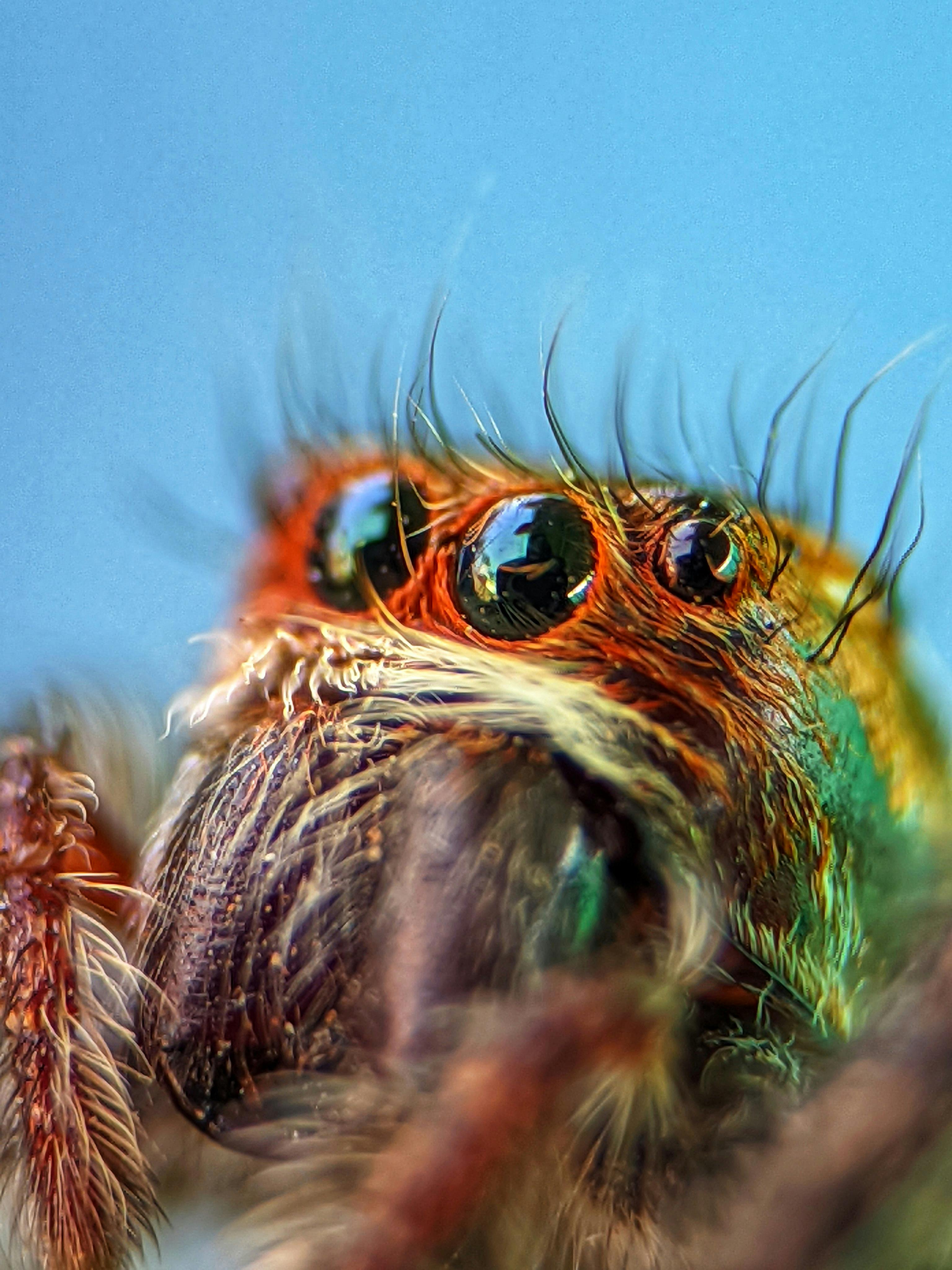 21 Reddit Marketing Tricks 2.0