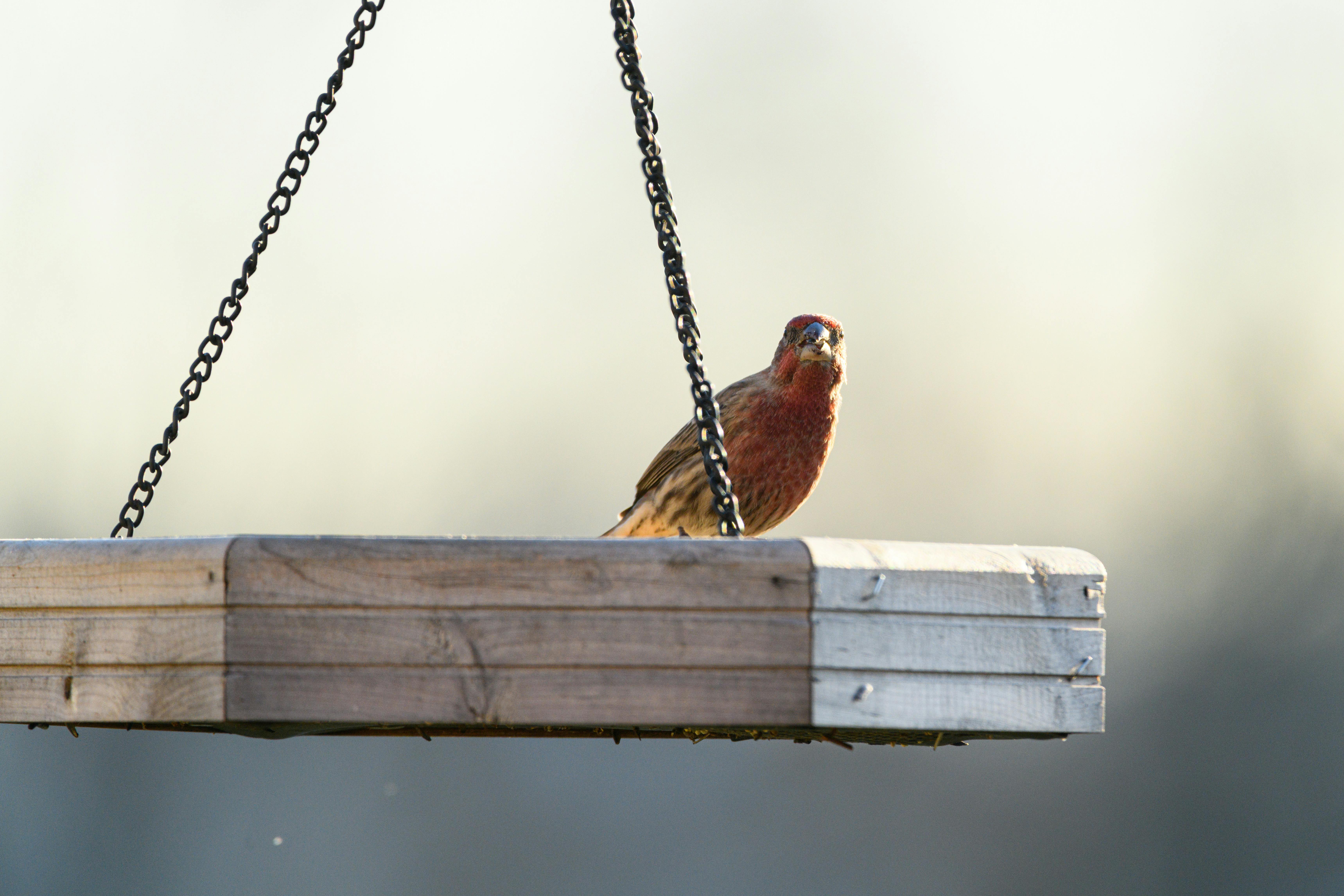 慈濟攜手SDGs 輔具助力弱勢翻轉生活