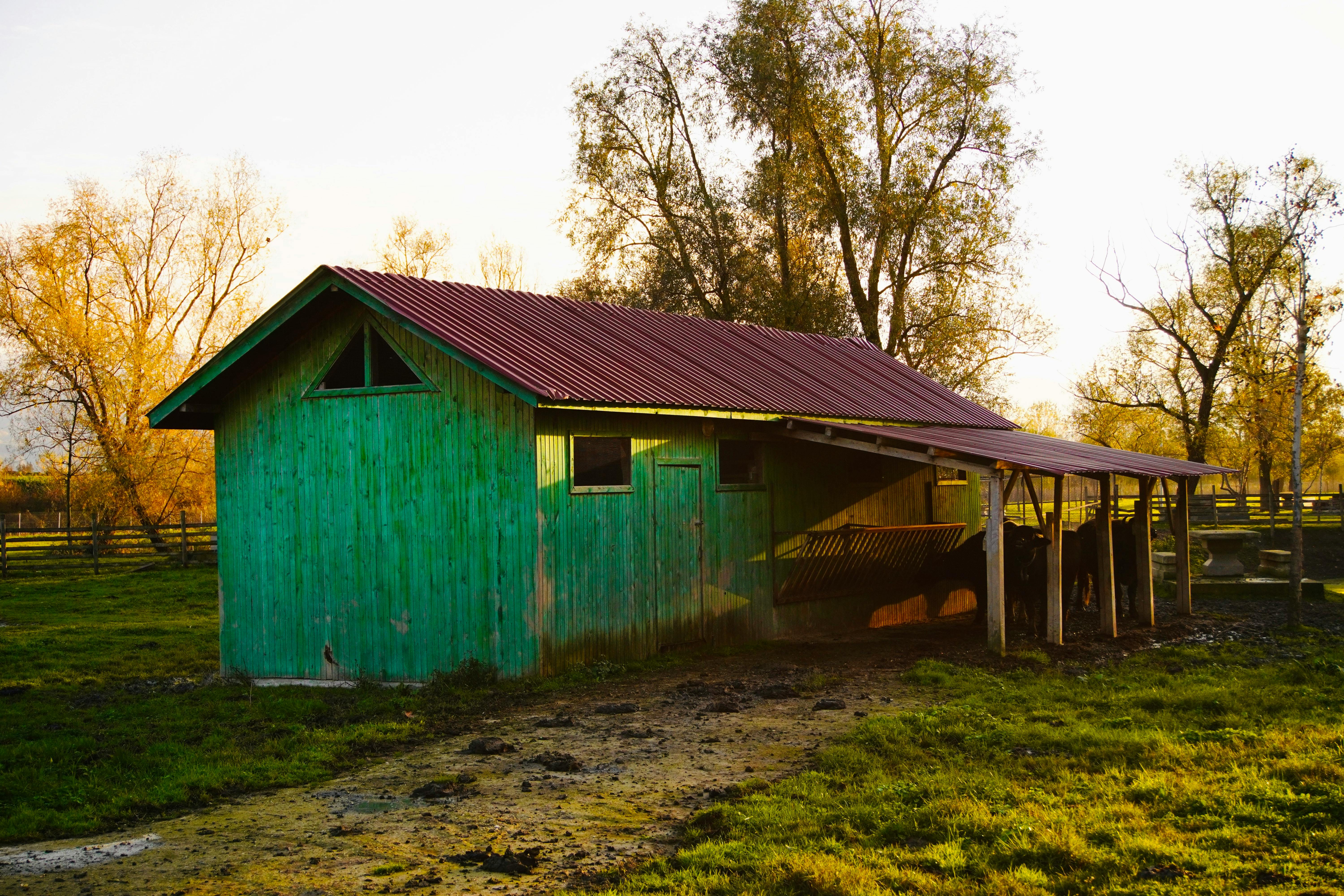 宇航員國際中心明年落地海南自貿港，推動航天產業發展