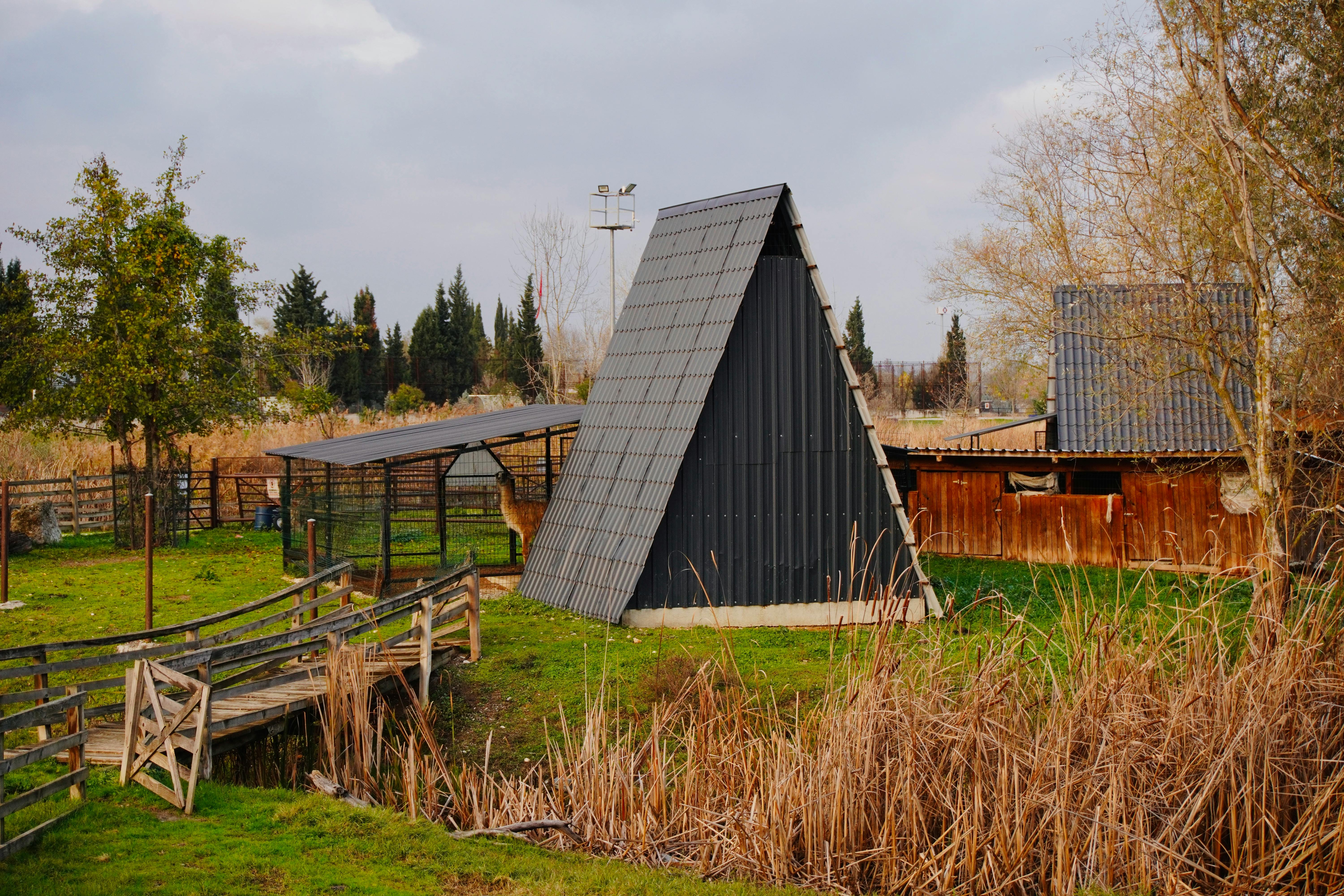 大甲芋頭田成為最佳食農教育課堂，體驗農耕更貼近生活