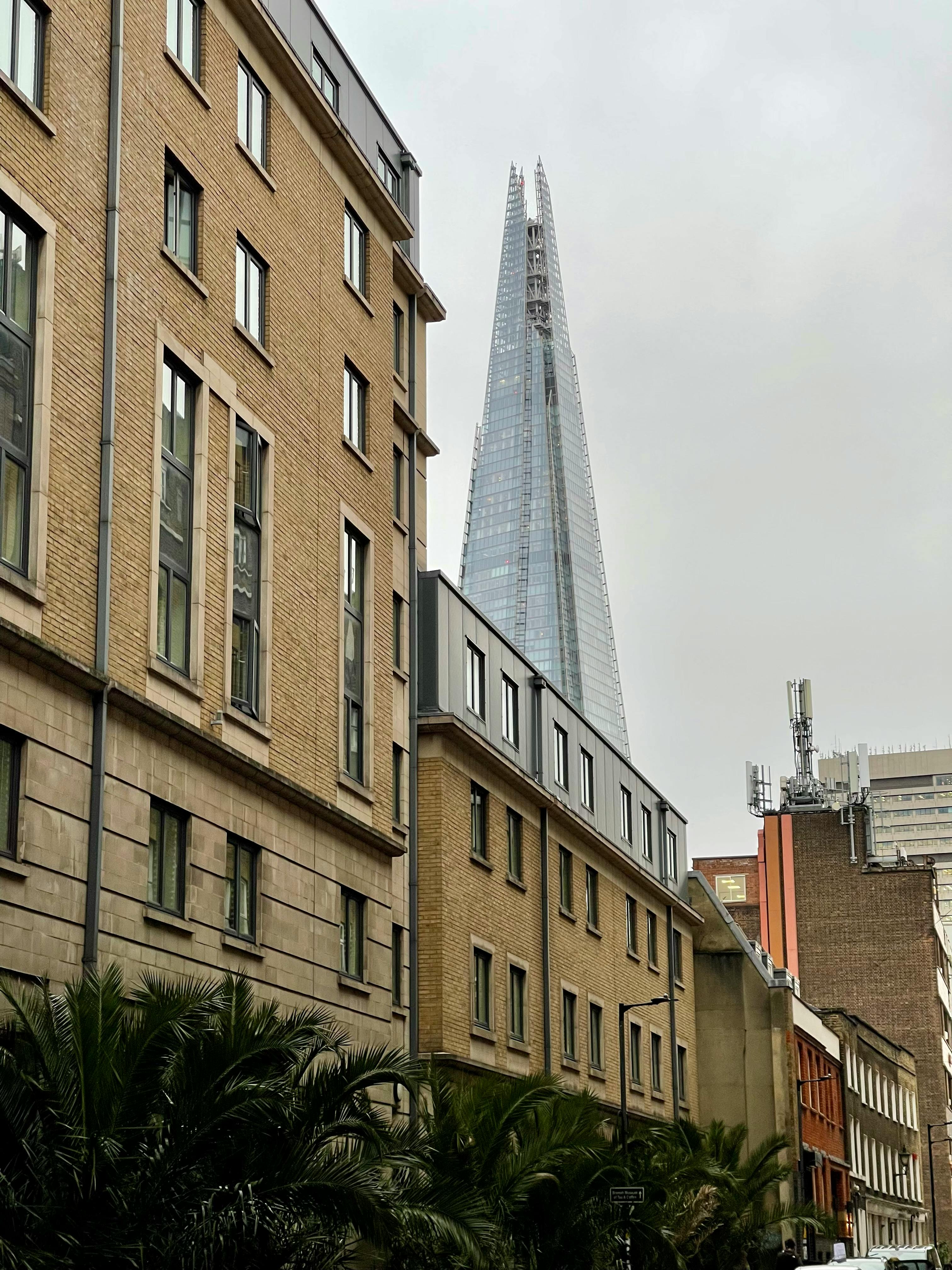 Photo by Anna Rynkowska from Pexels