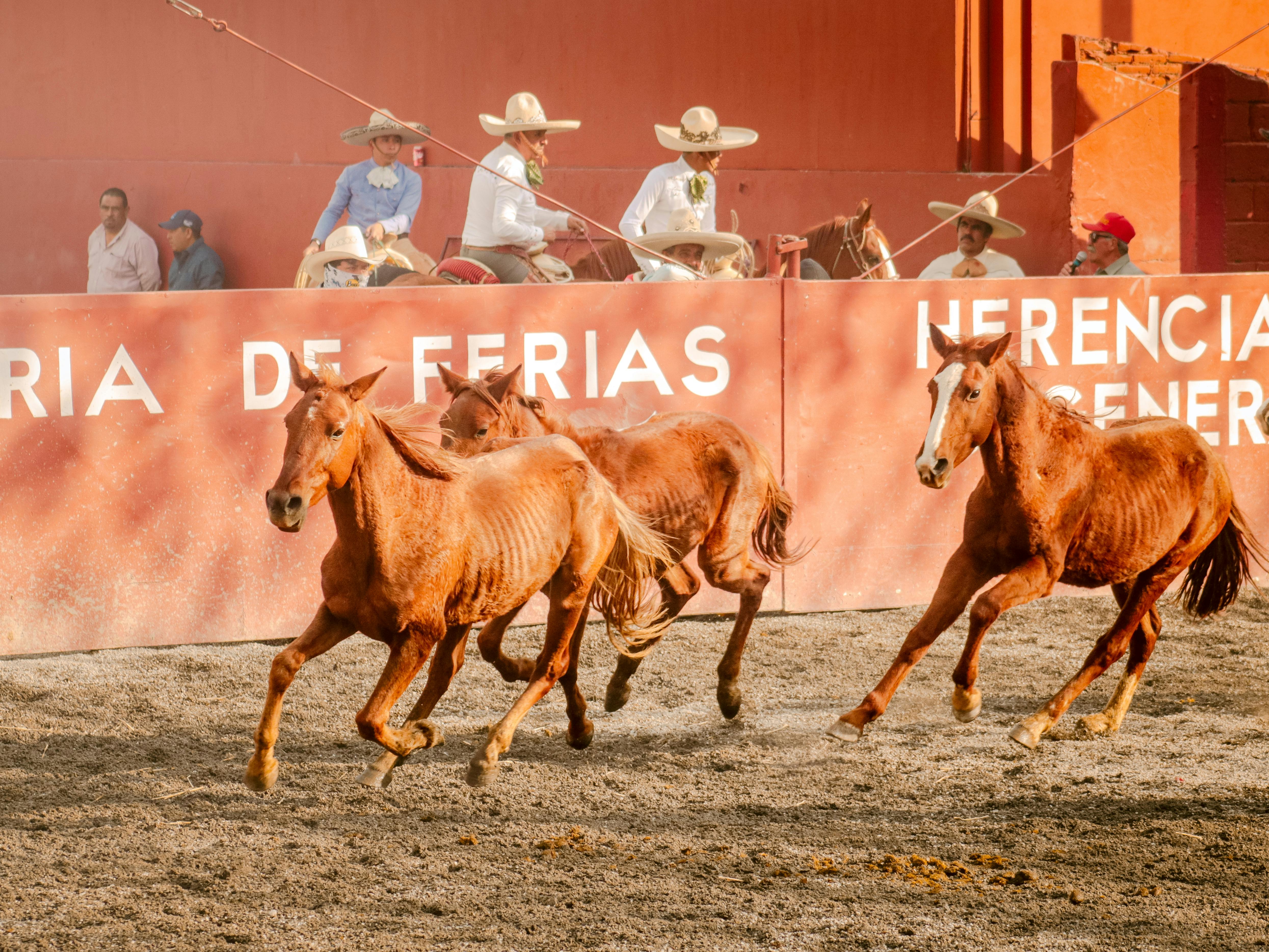 中華醫大USR團隊助南化北竂里奪2025國際宜居社區銀獎