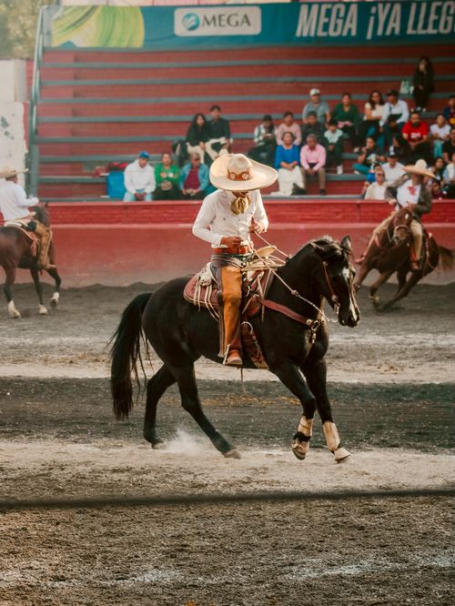 Free A skilled cowboy performs a rodeo stunt on a horse, captivating the audience in a vibrant arena setting. Stock Photo
