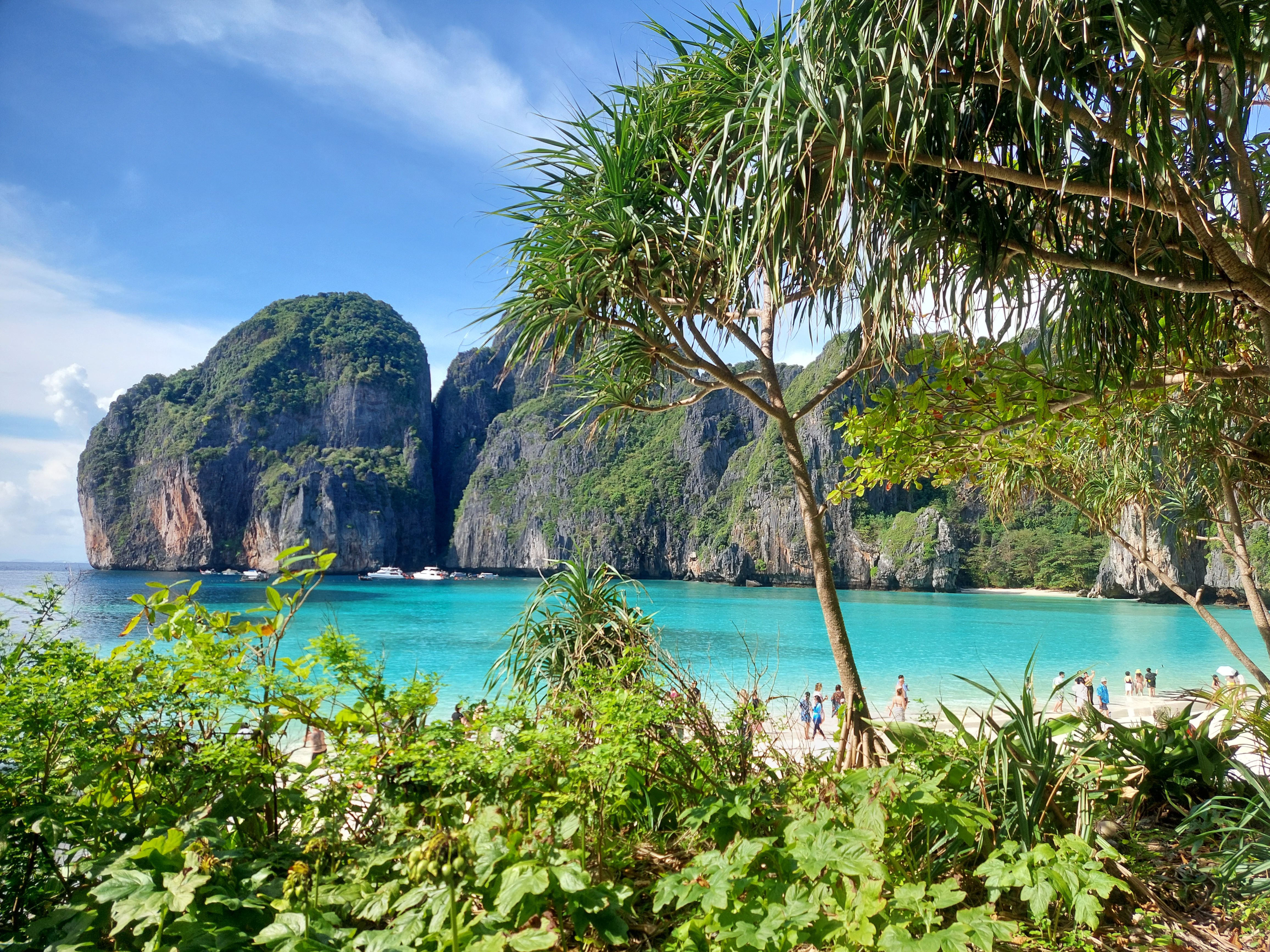 The turquoise cove of Maya Bay framed by tall cliffs on Phi Phi Leh