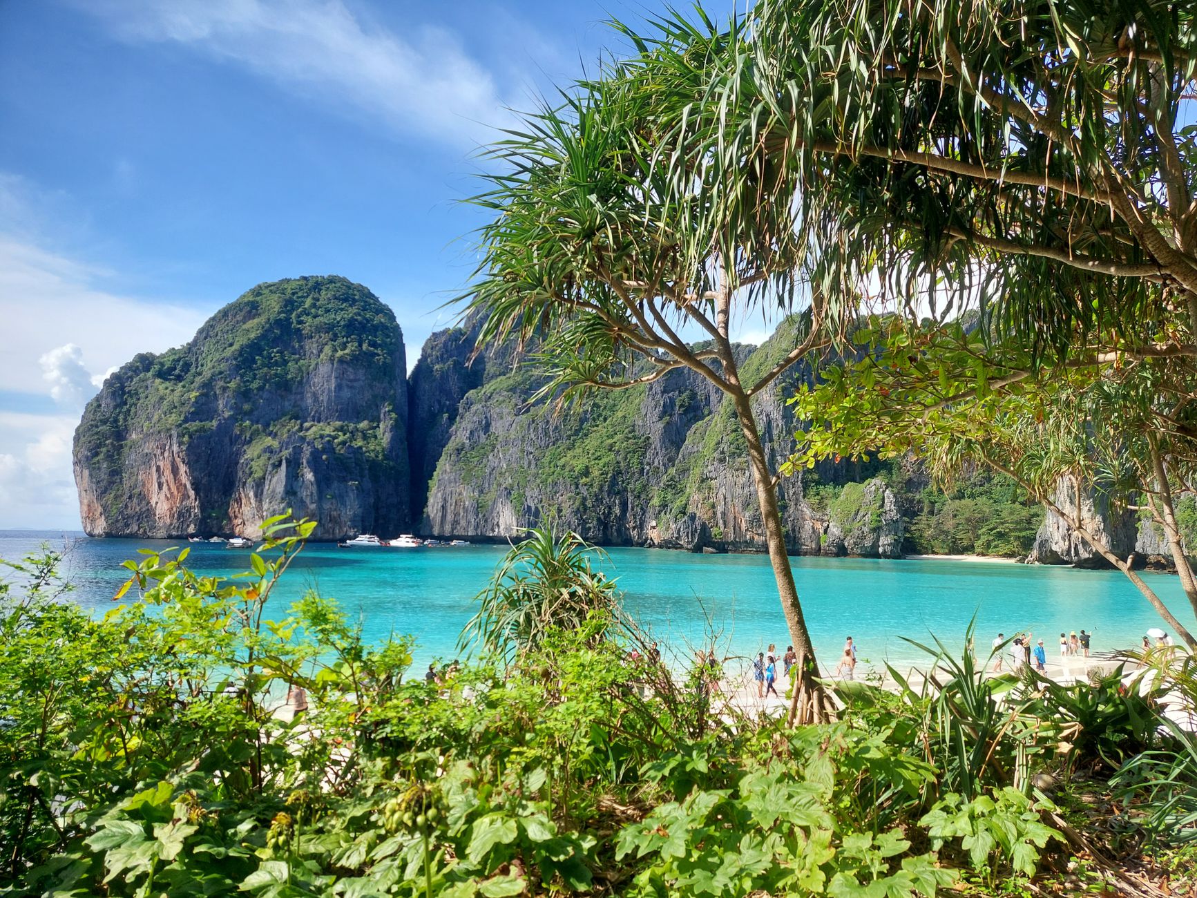 The turquoise cove of Maya Bay framed by tall cliffs on Phi Phi Leh
