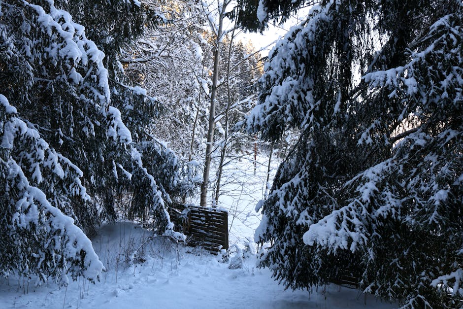 Vremenska slika Evrope
